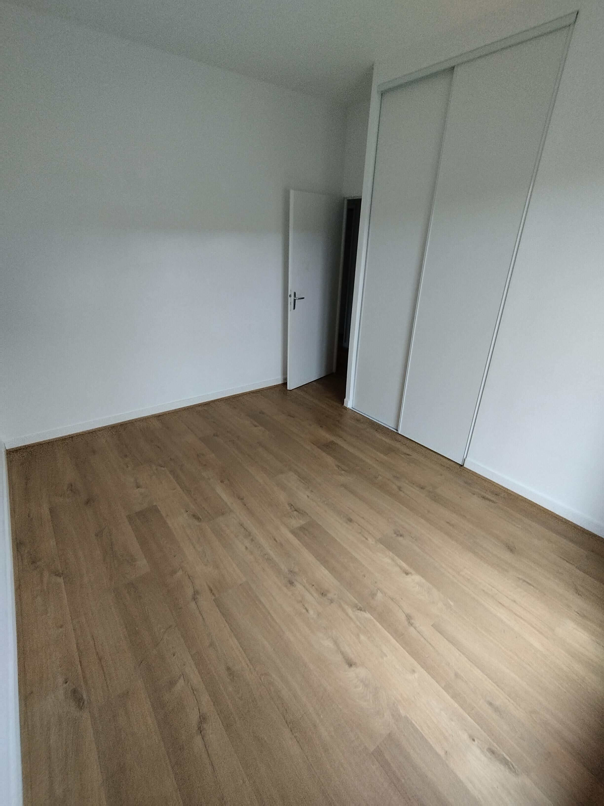 1771321669320-compressed.jpg