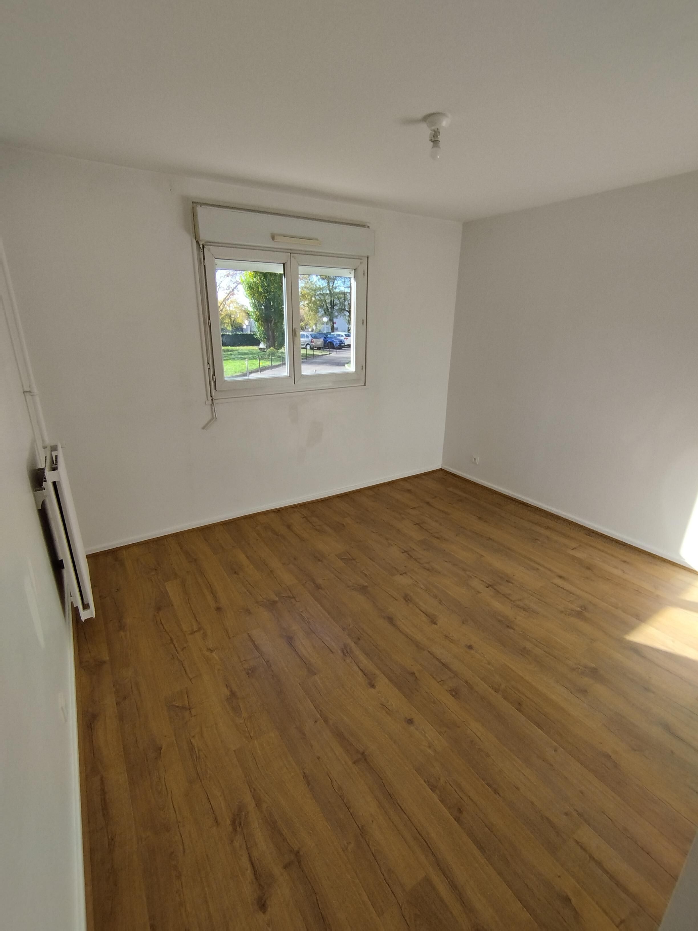 C 11000077591-compressed.jpg