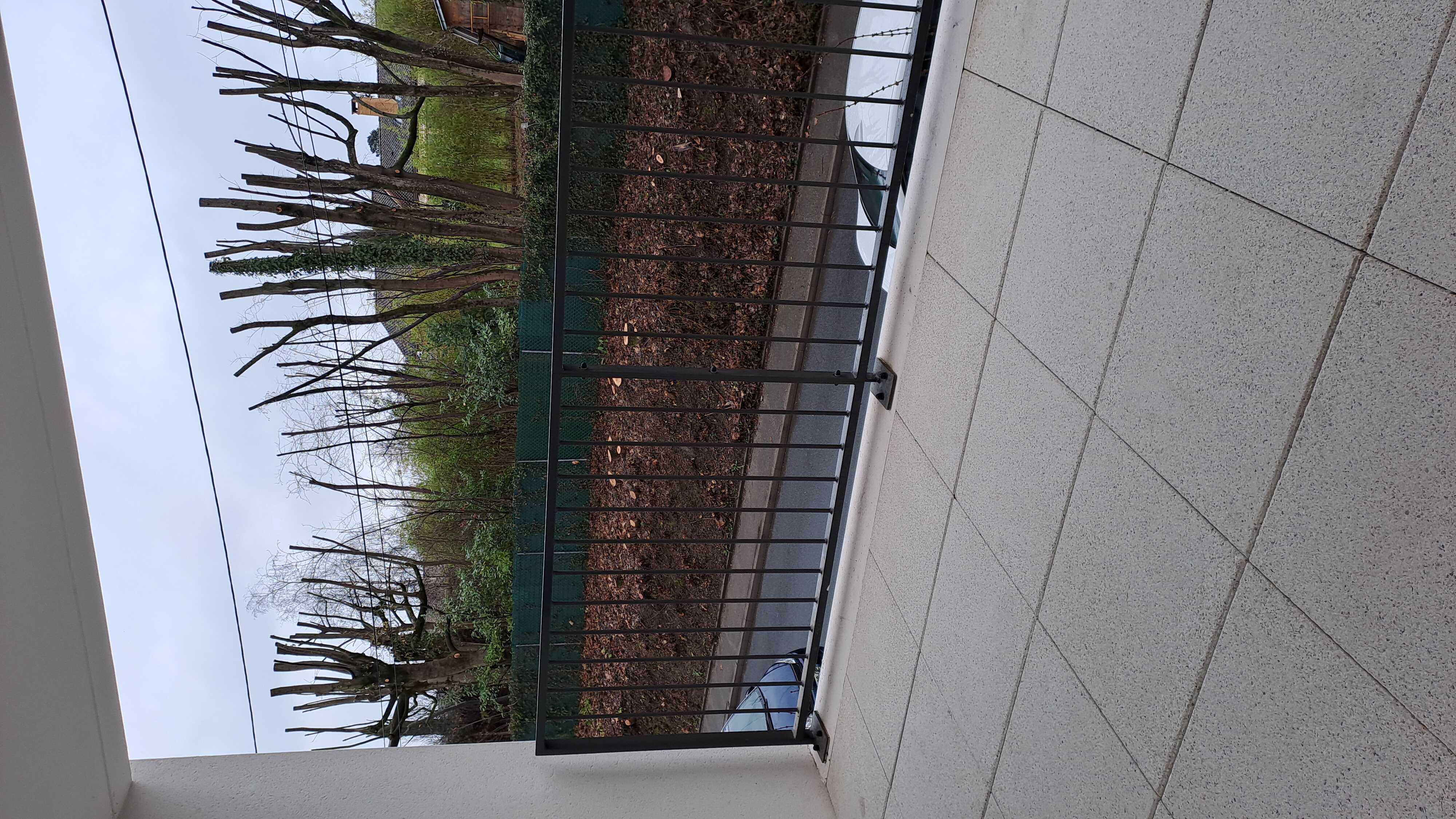 20230118_103344-compressed.jpg