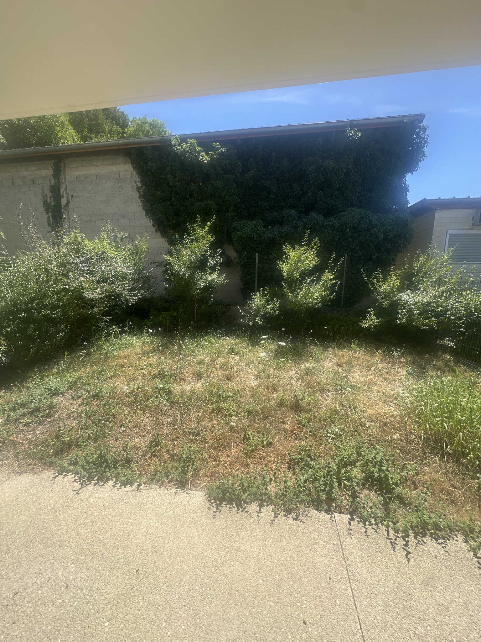 5jardin-compressed.jpeg