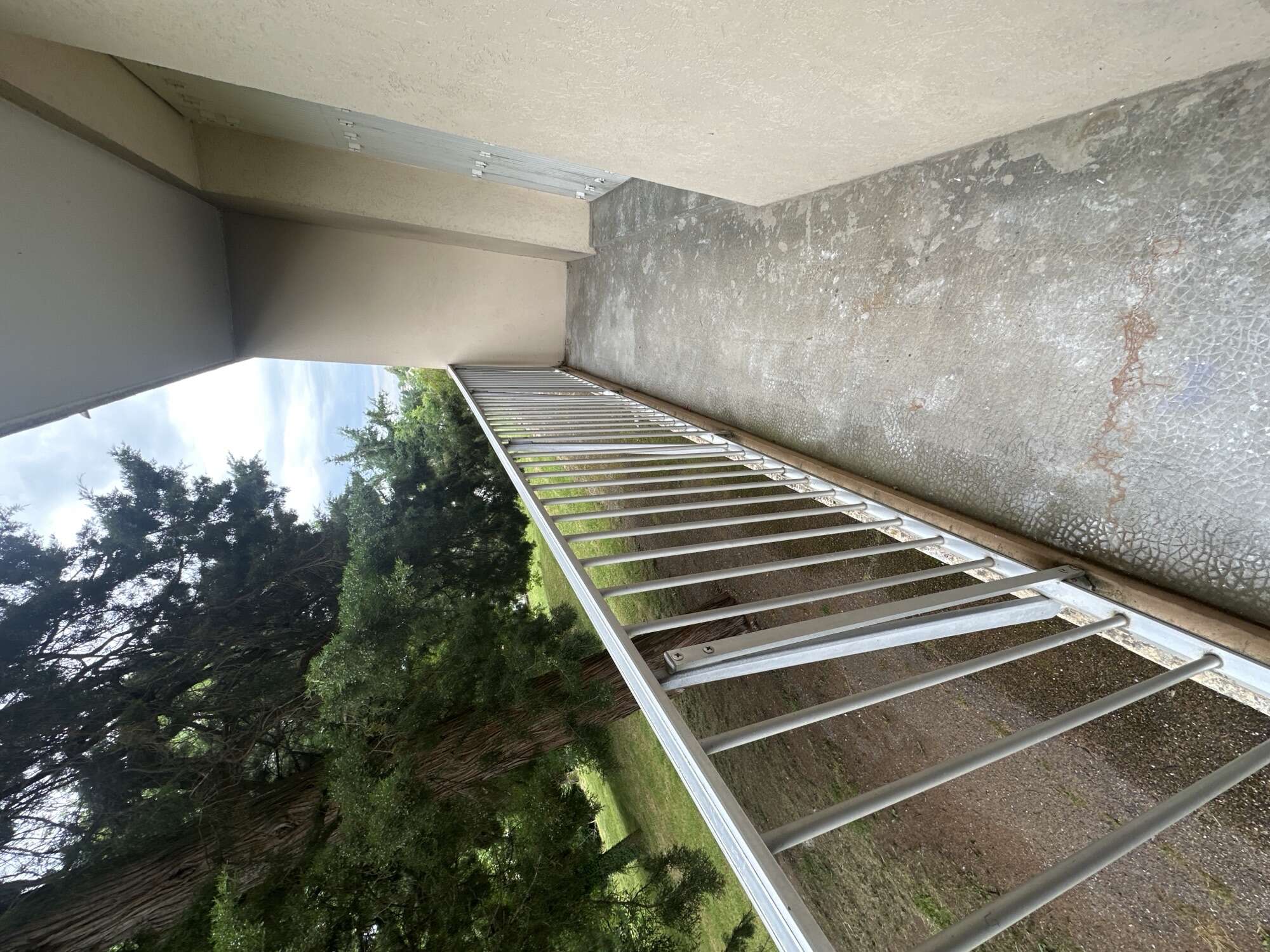 2 BALCON-compressed.jpeg