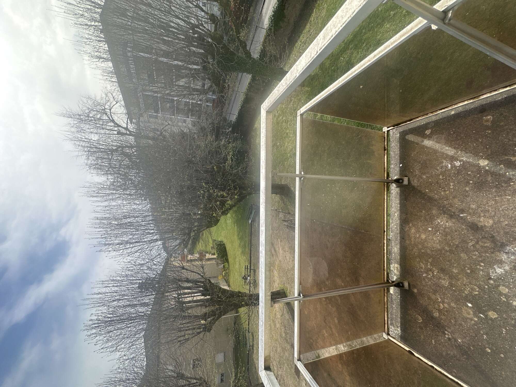 F- PHOTO-compressed.jpeg