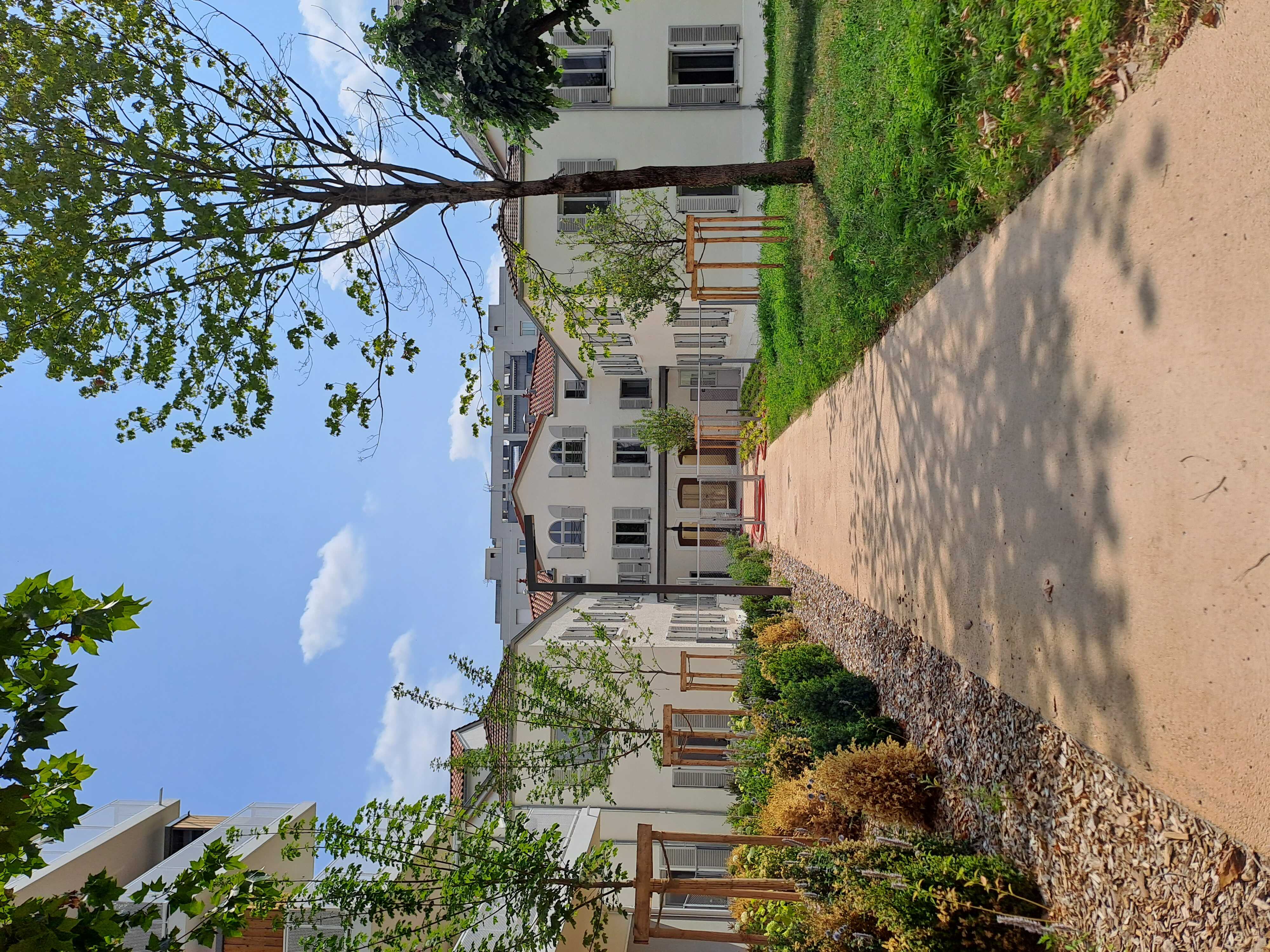 LYON