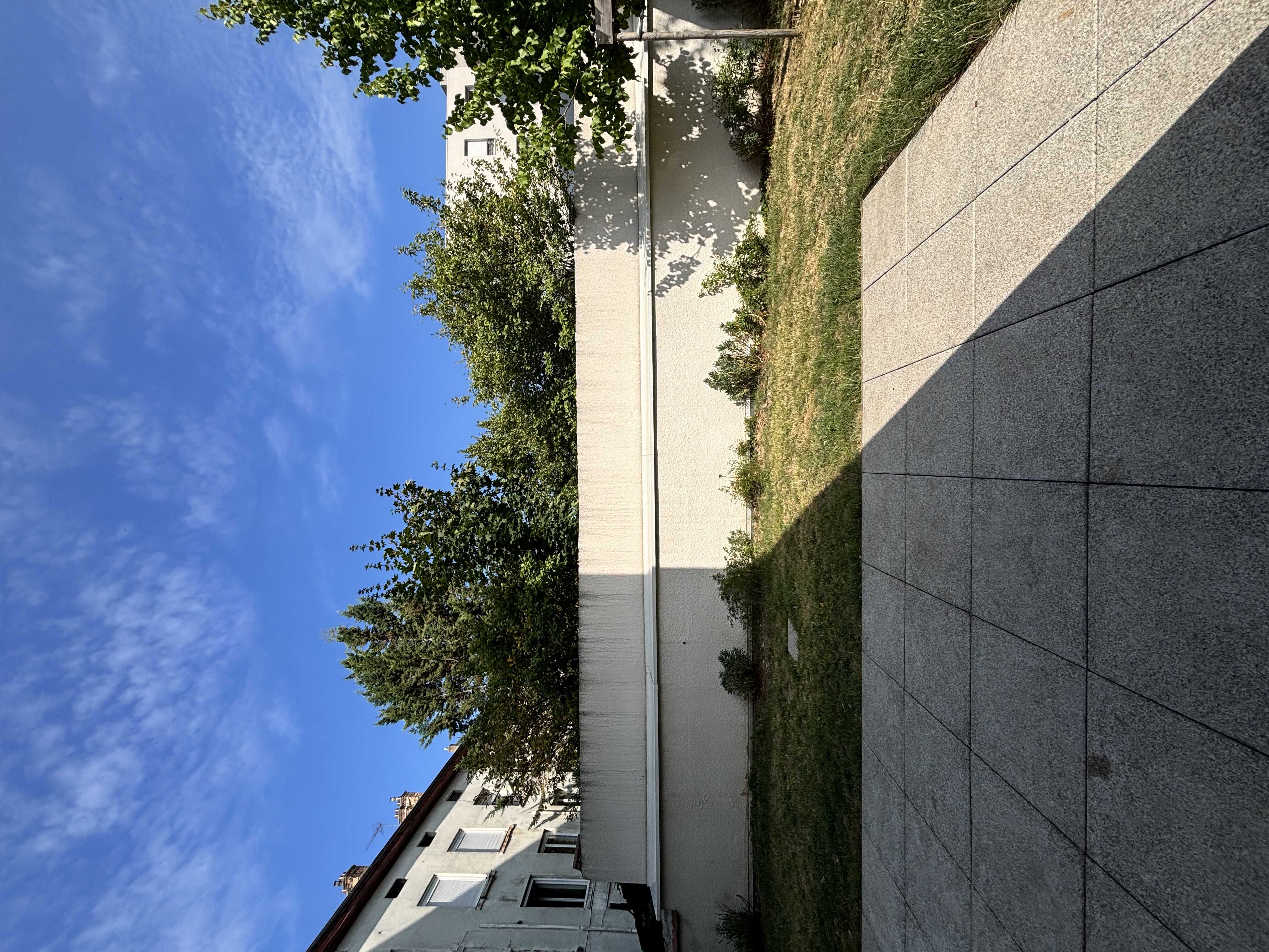 IMG_0622-compressed.jpeg