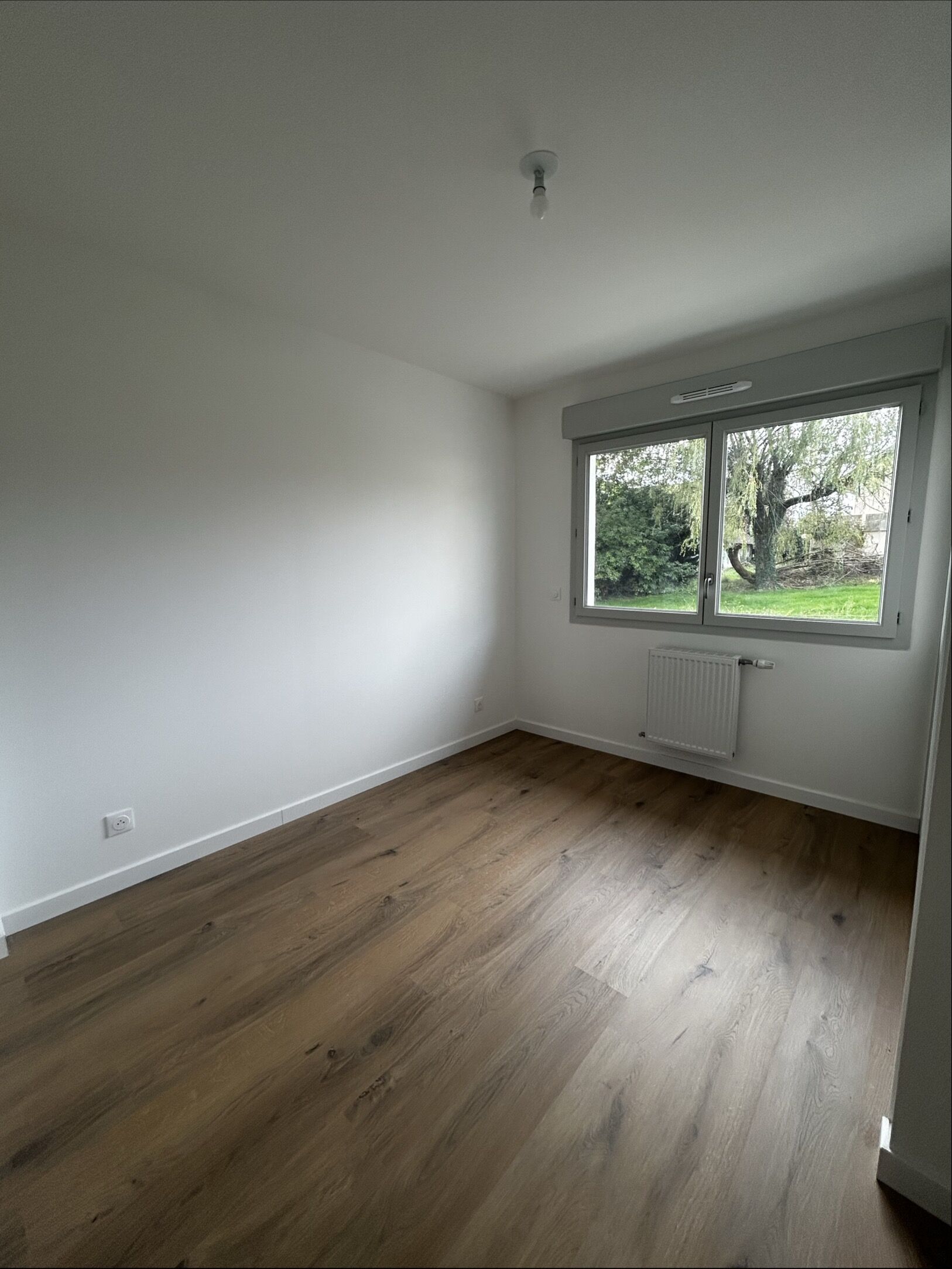 compressed-Image (80).jpg