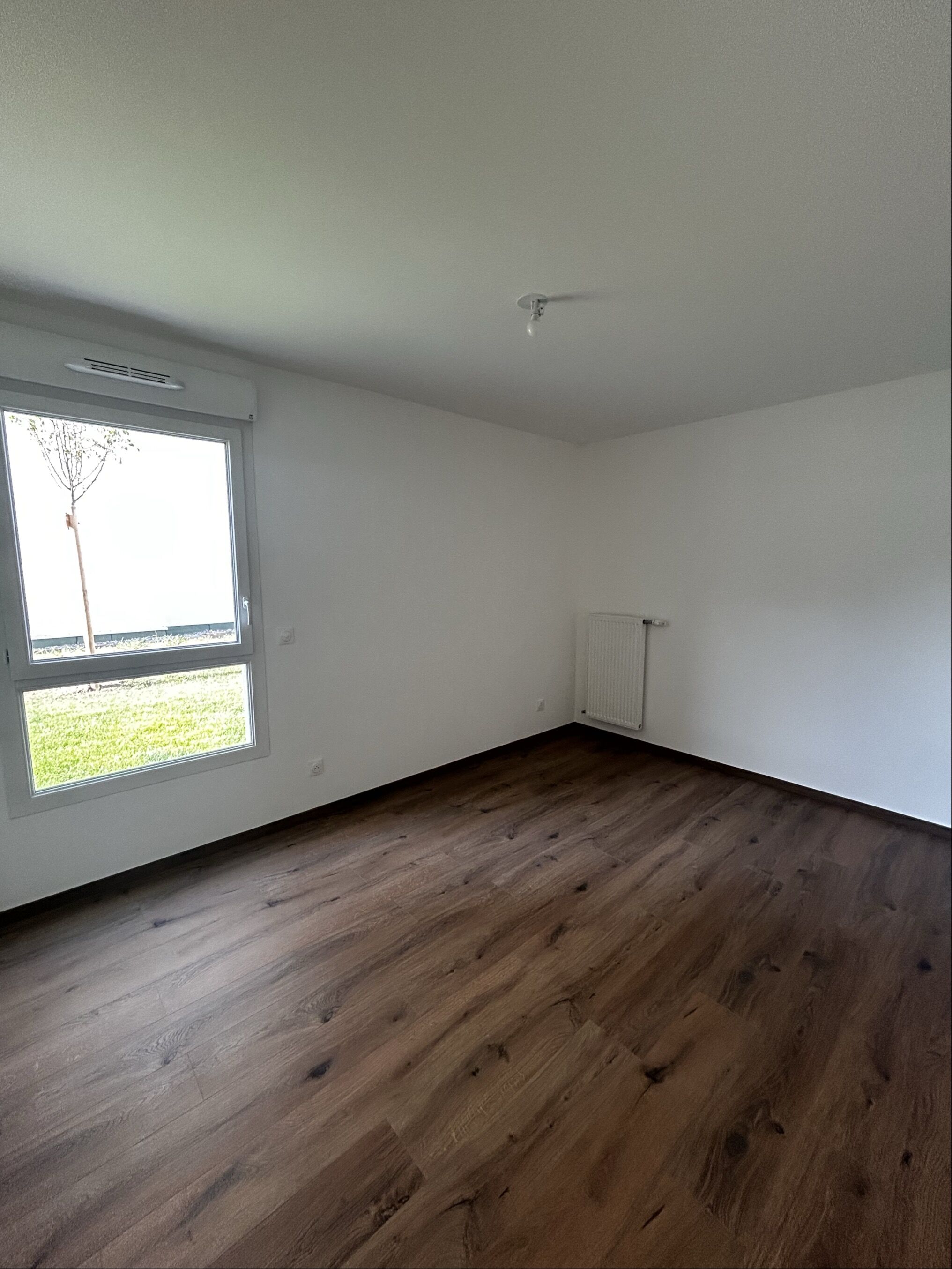 compressed-Image (16).jpg