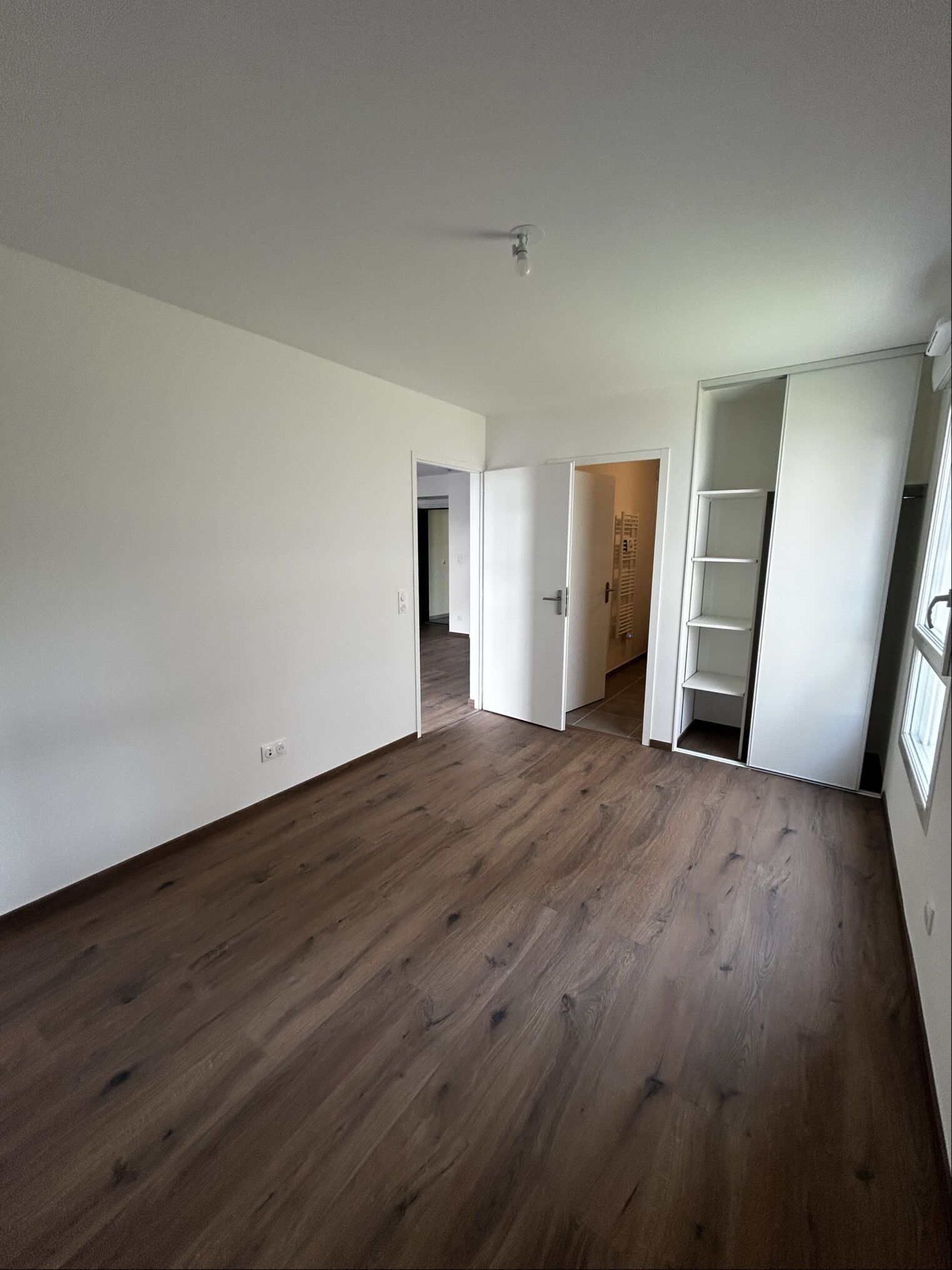 compressed-Image (17).jpg