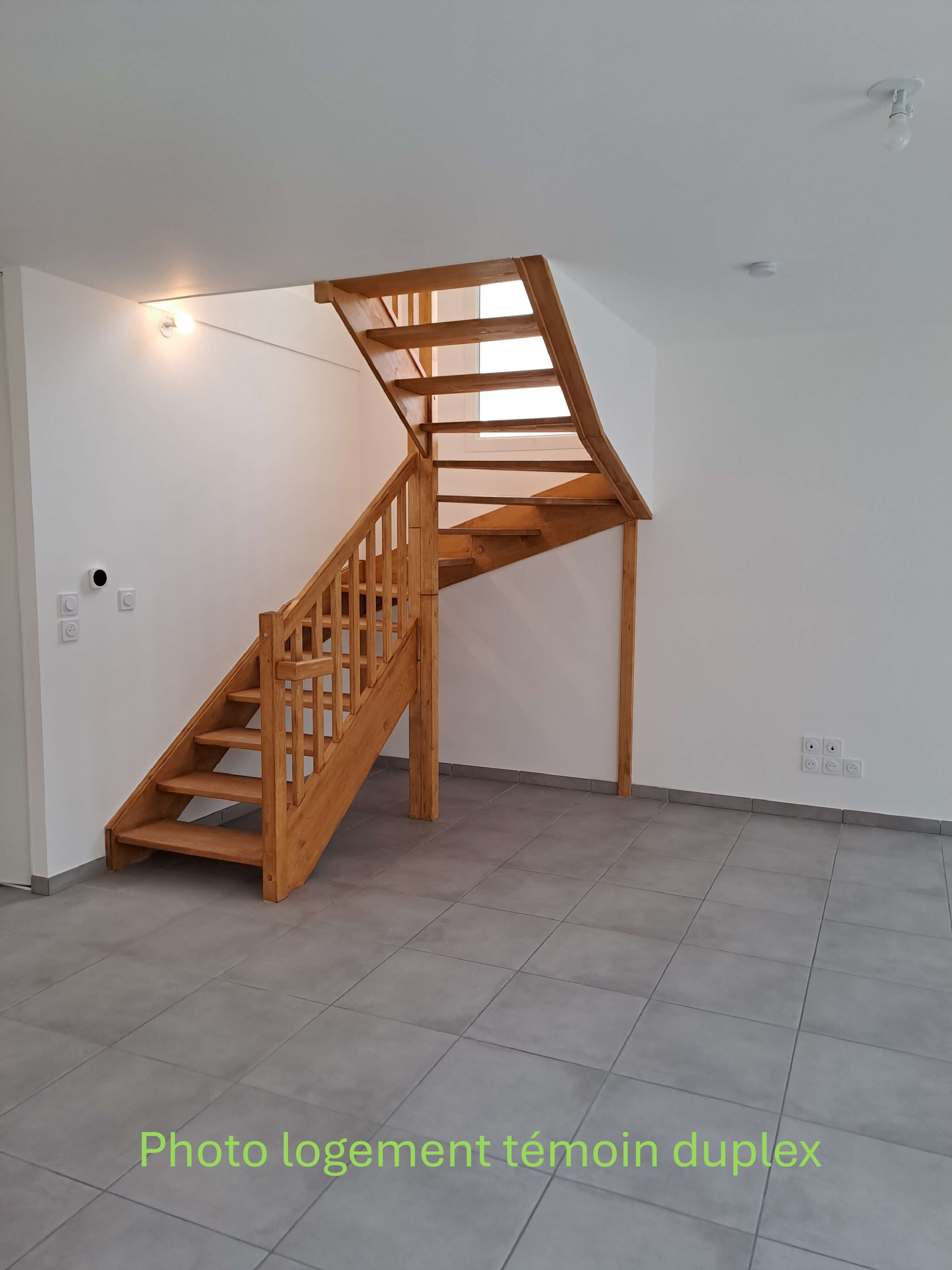 Duplex-compressed.JPG