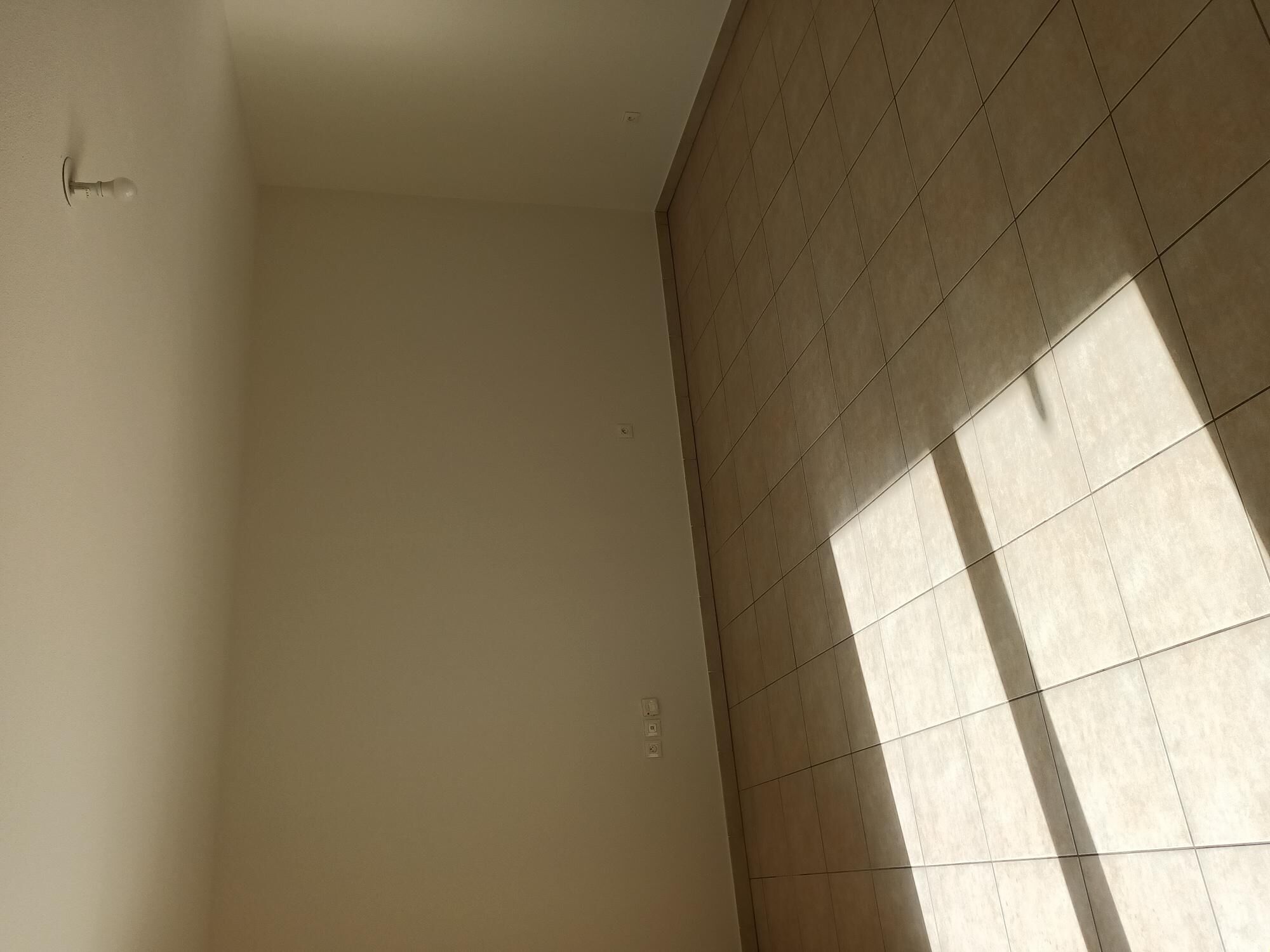 20230426_172222-compressed.jpg