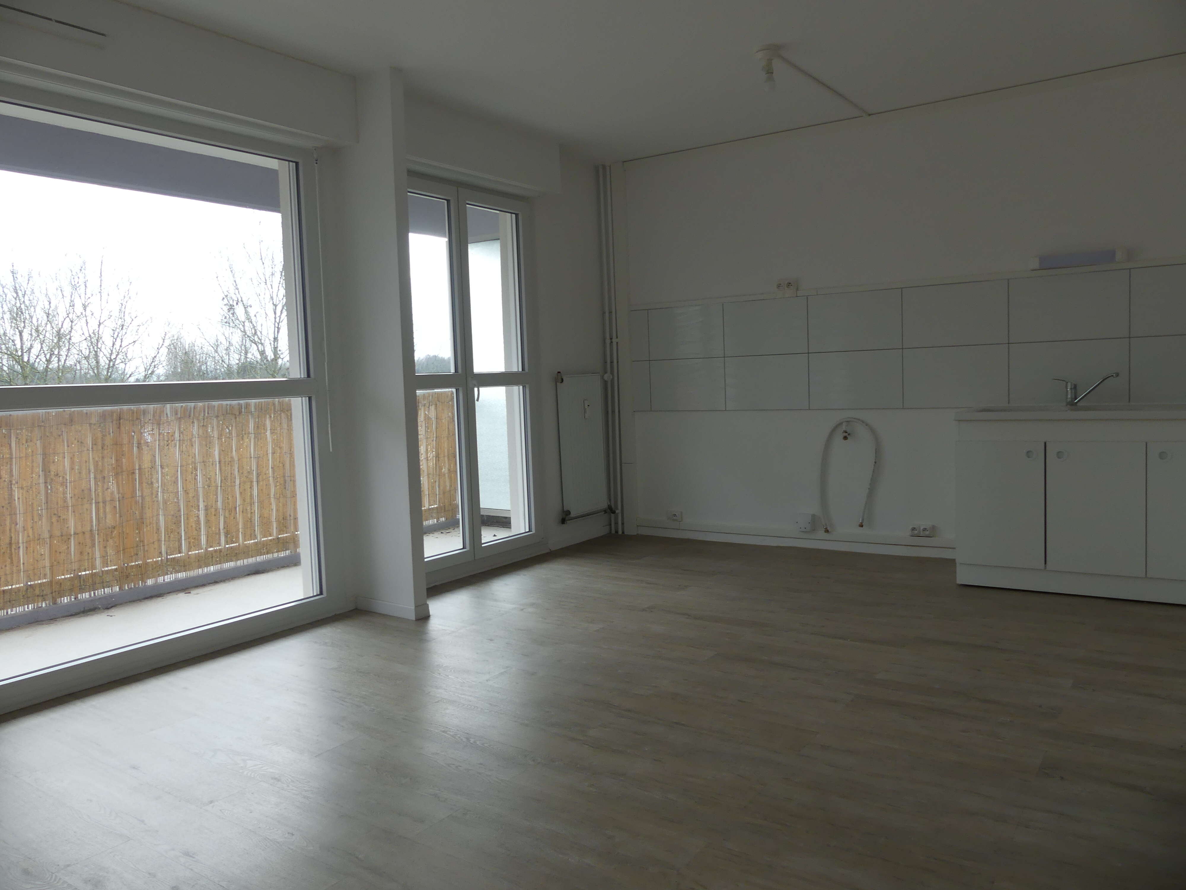 4 2846-compressed.JPG