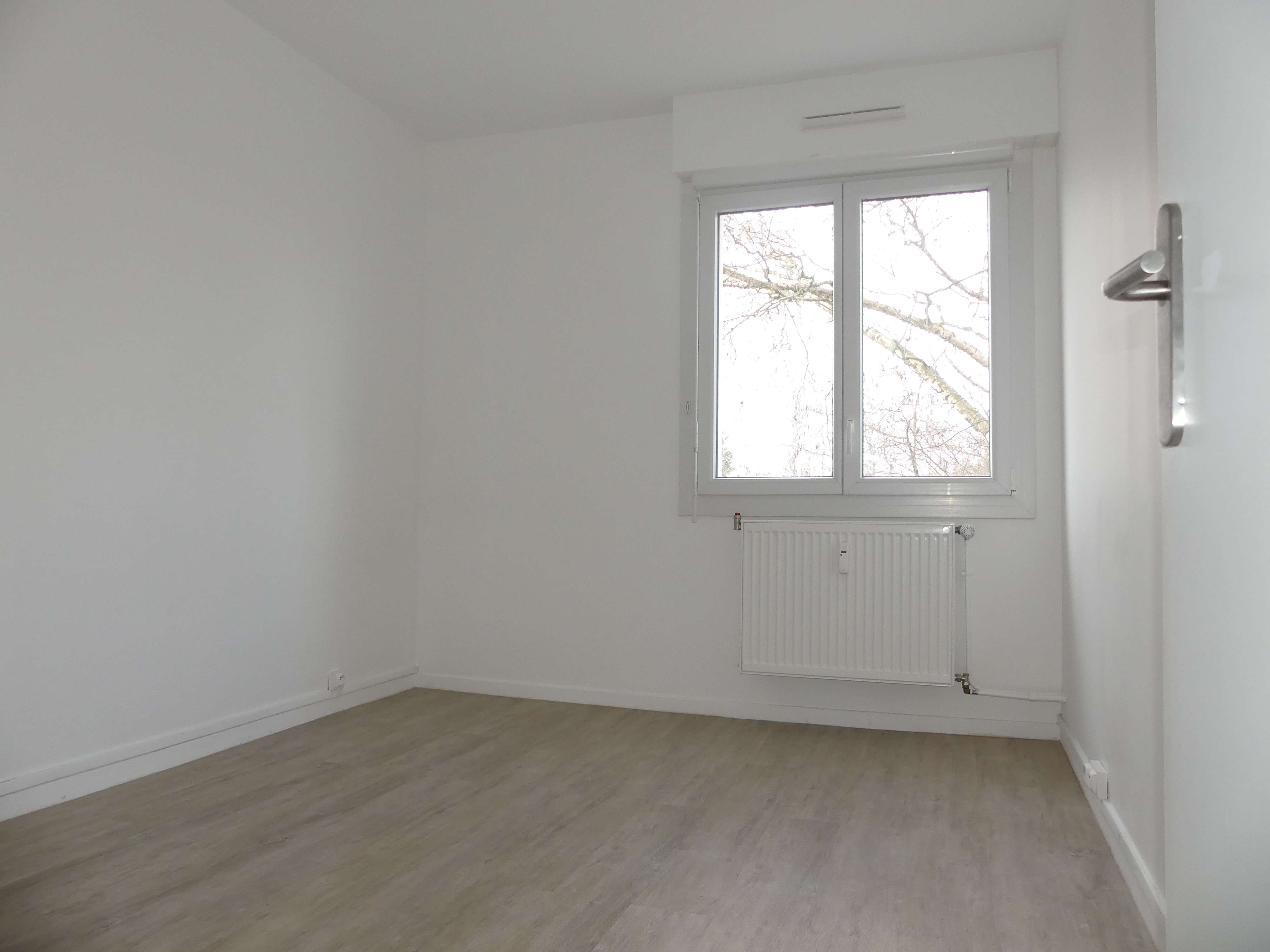 7 2846-compressed.JPG