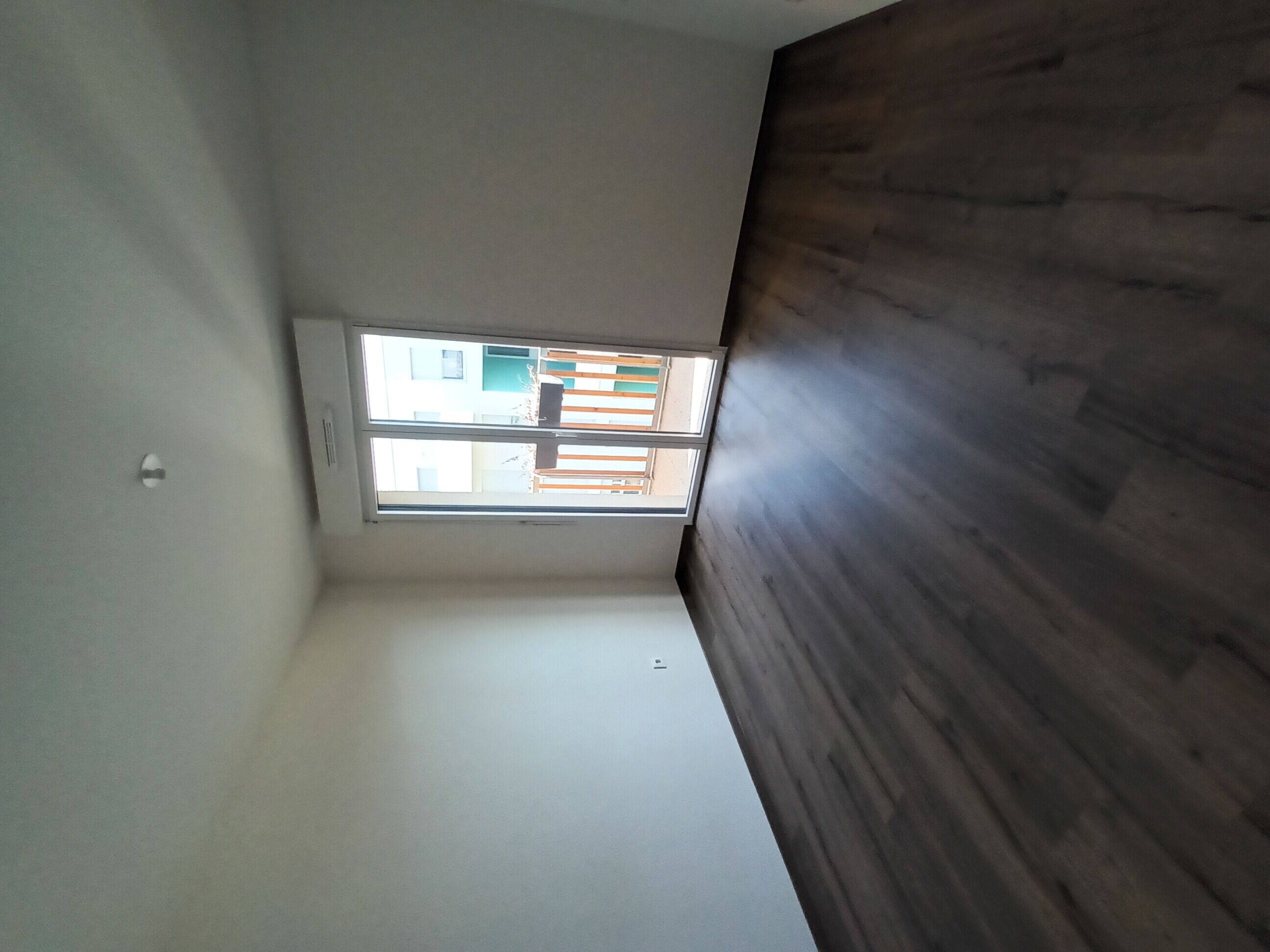 1000005319-compressed.jpg