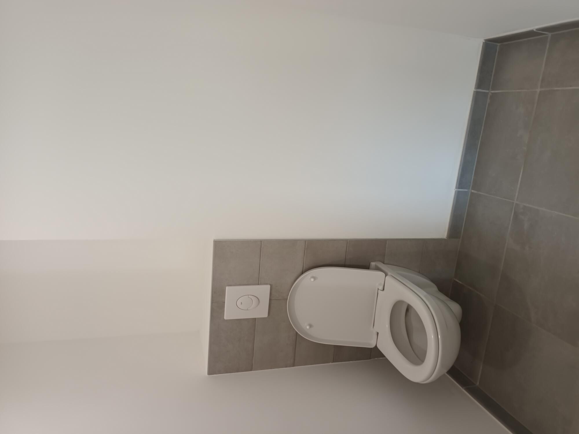 1000006256.jpg