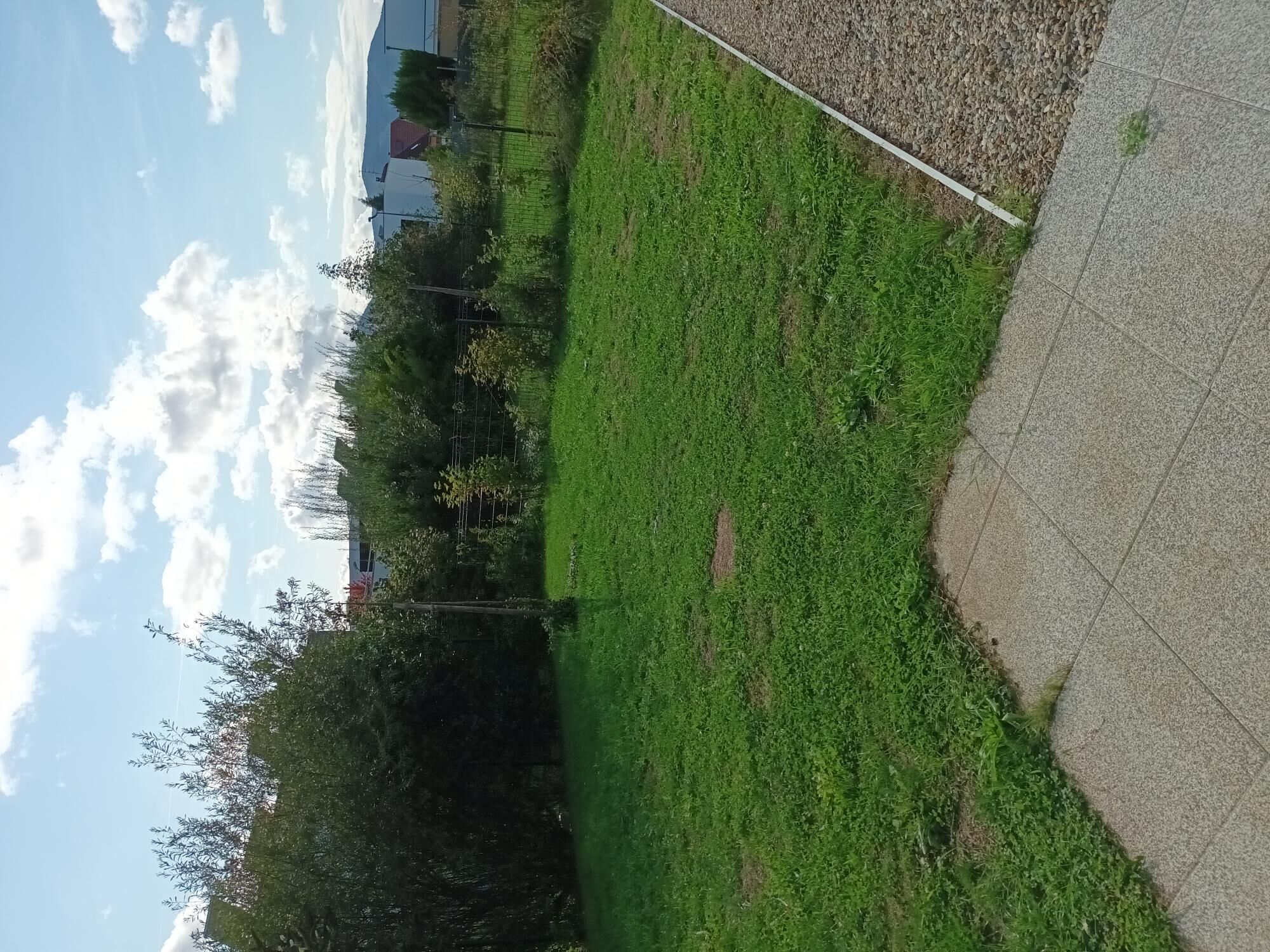 1000006258.jpg