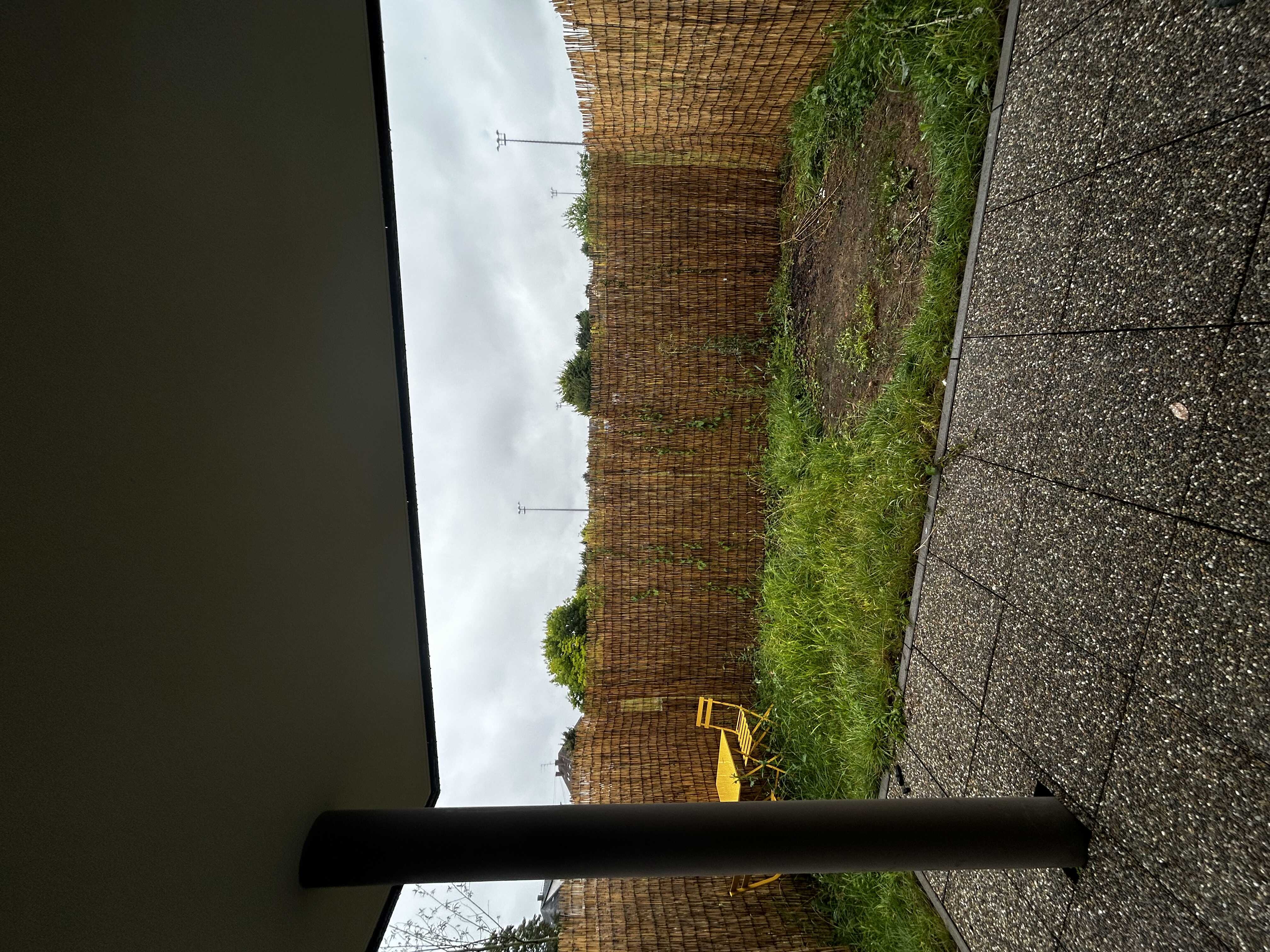 compressed-IMG_3323.jpg