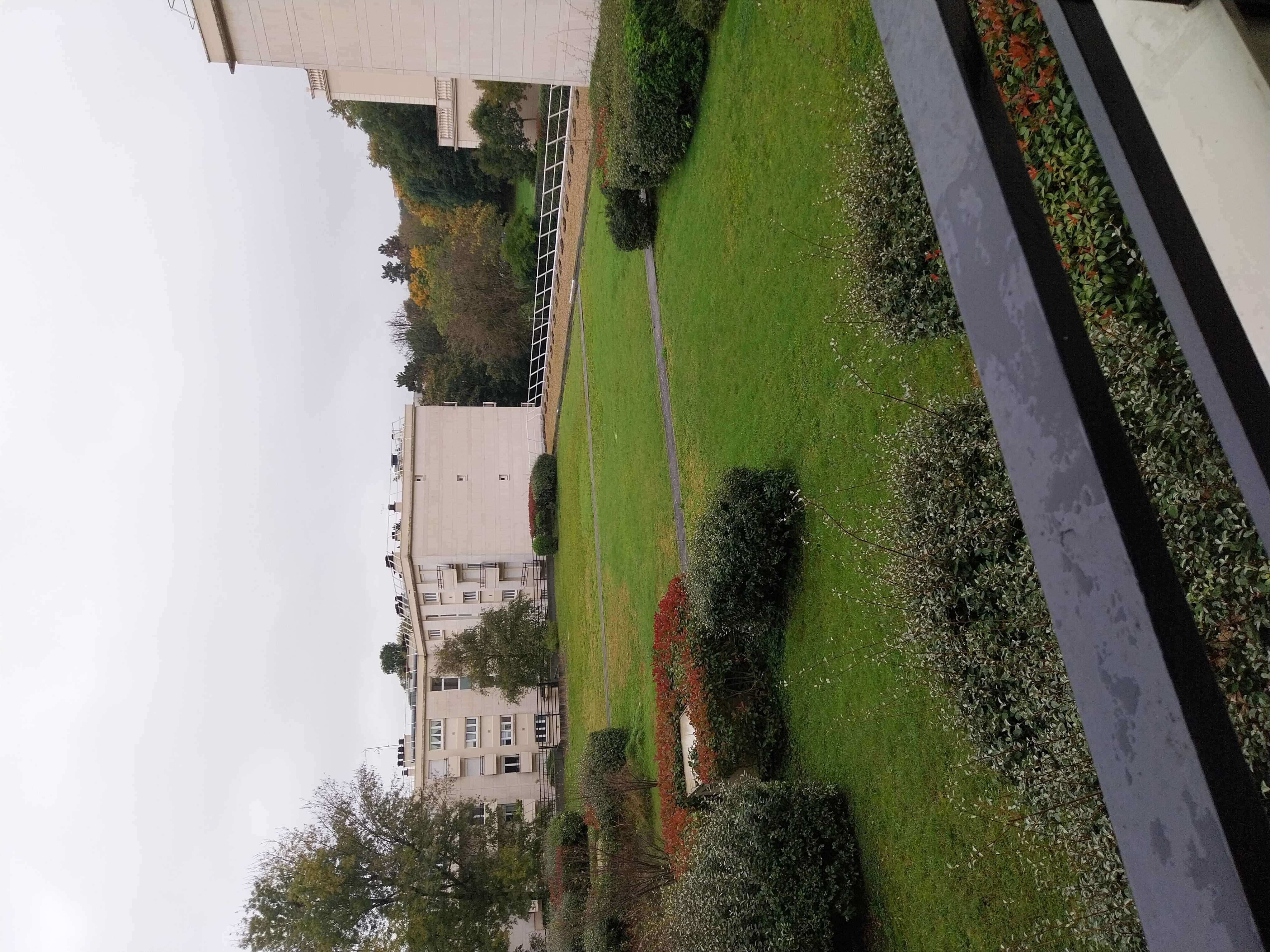 20241017_092300-cmp.jpg