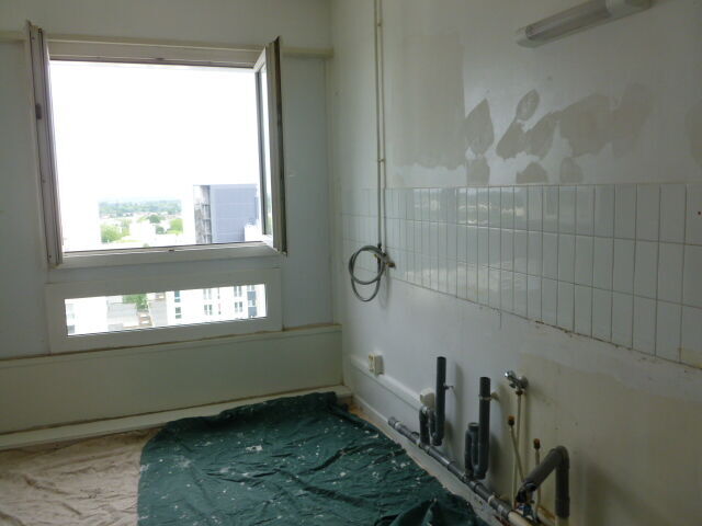 P1060947-compressed.JPG