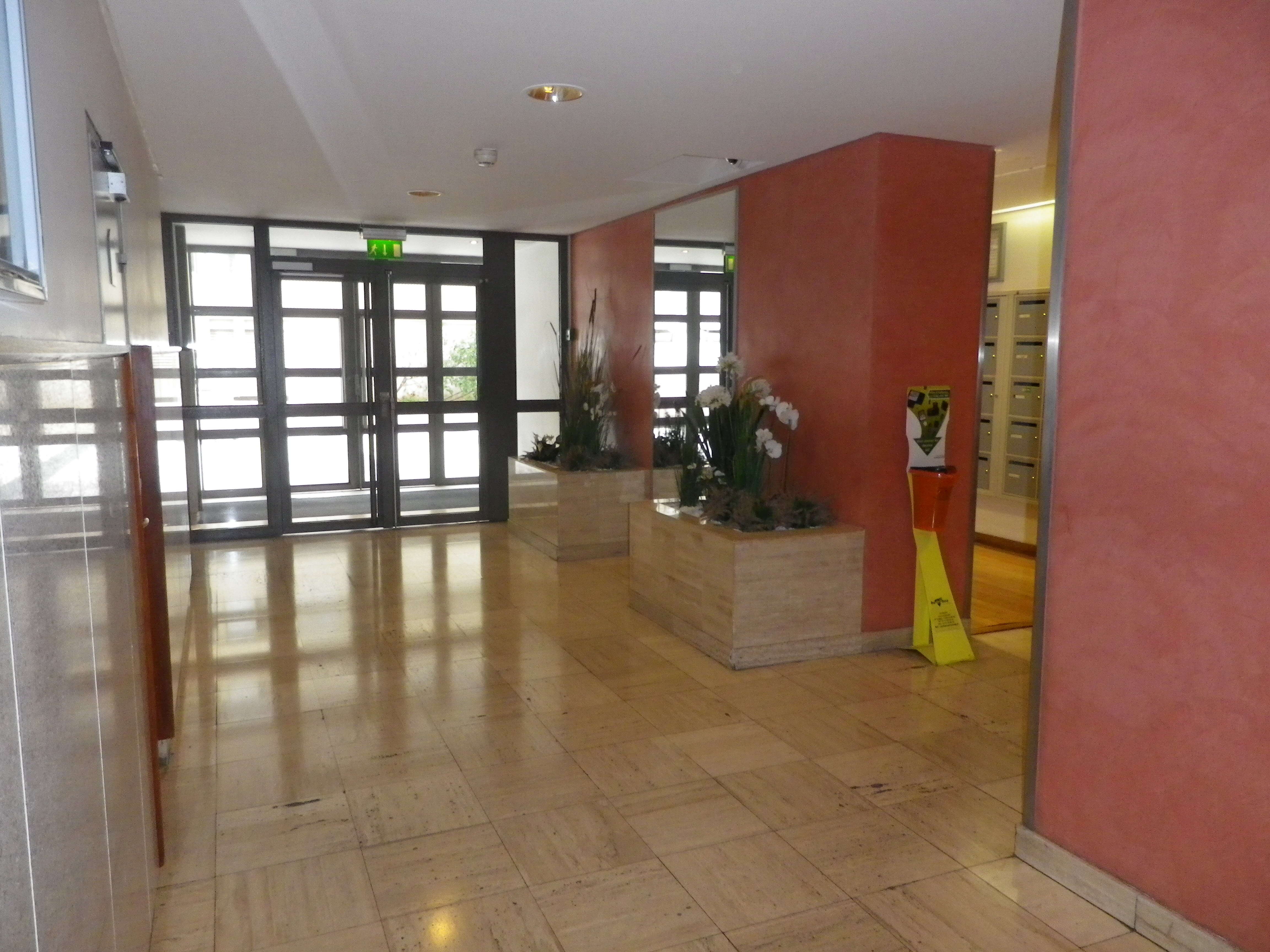 IMGP9373-compressed.JPG