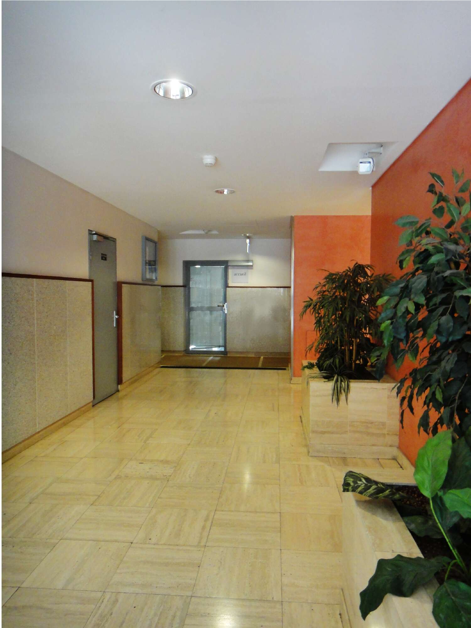 compressed-Vitruve VII.JPG