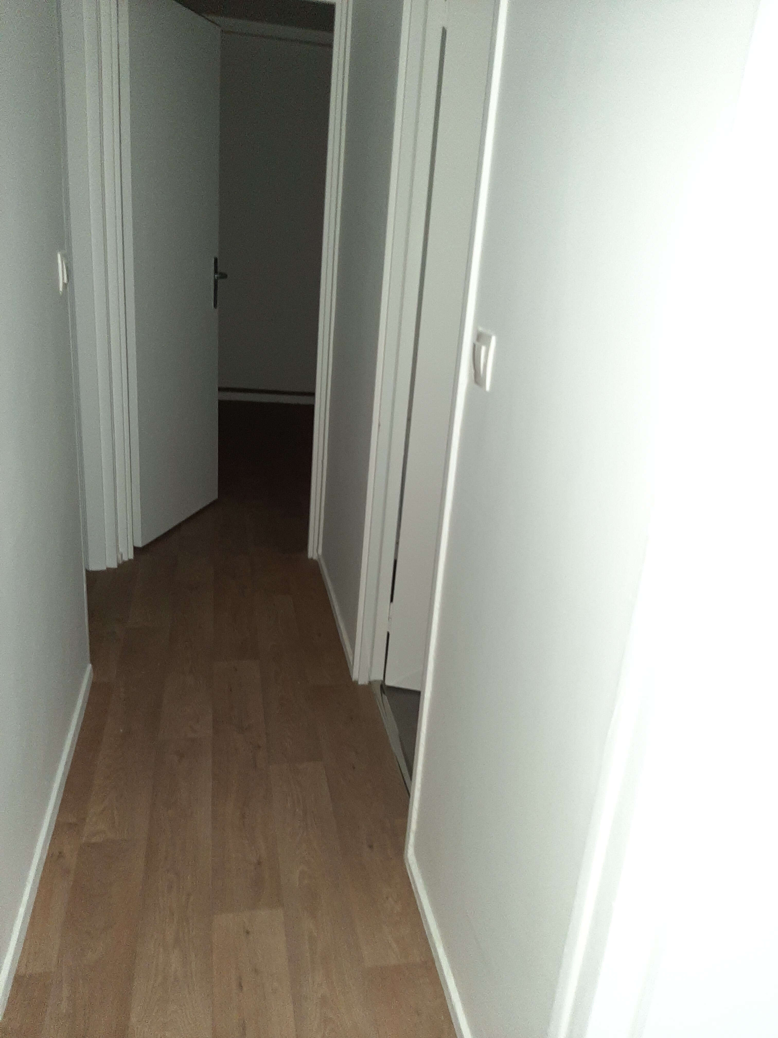 20250225_151854.jpg