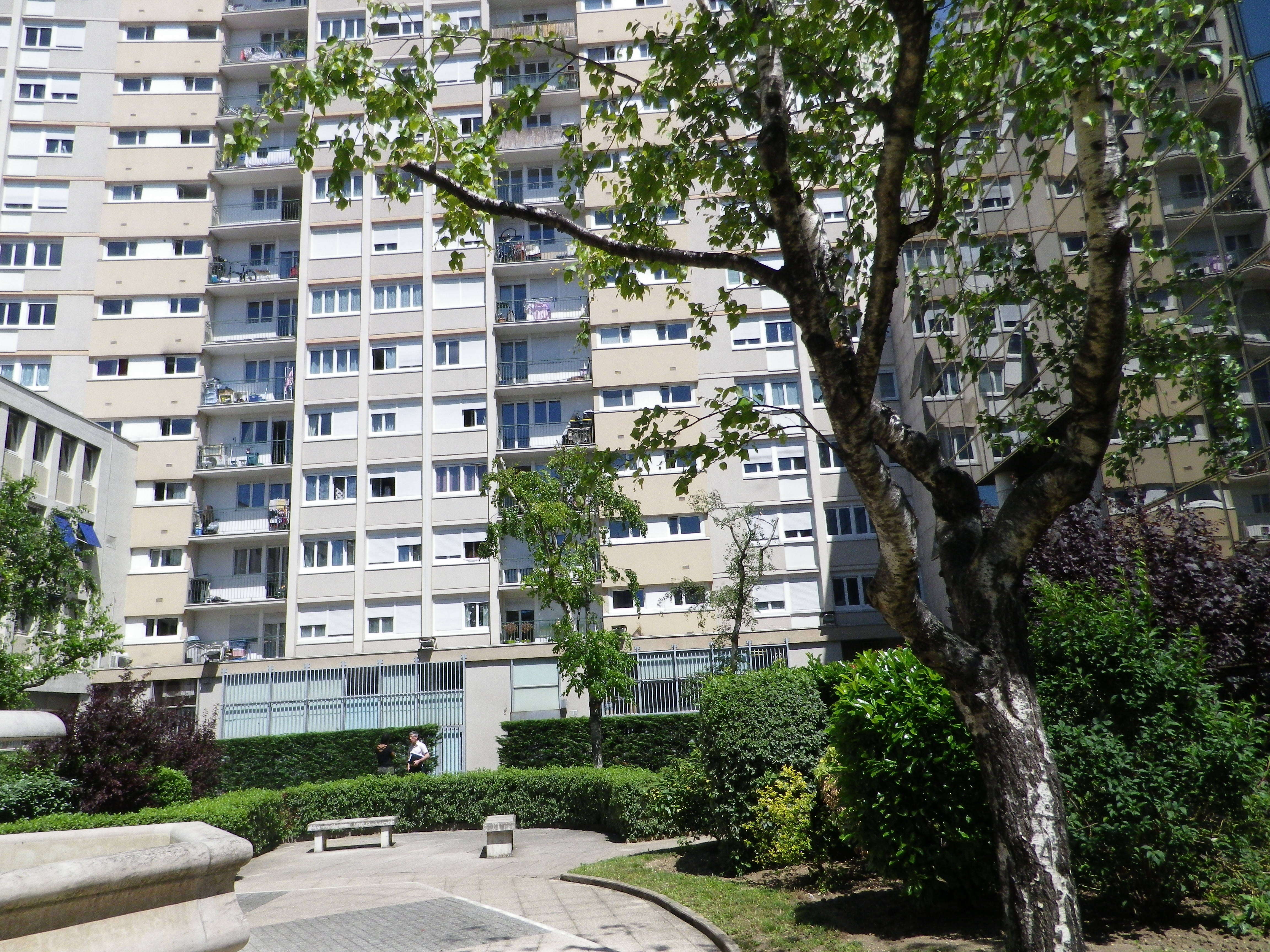 IMGP4028-cmp.JPG