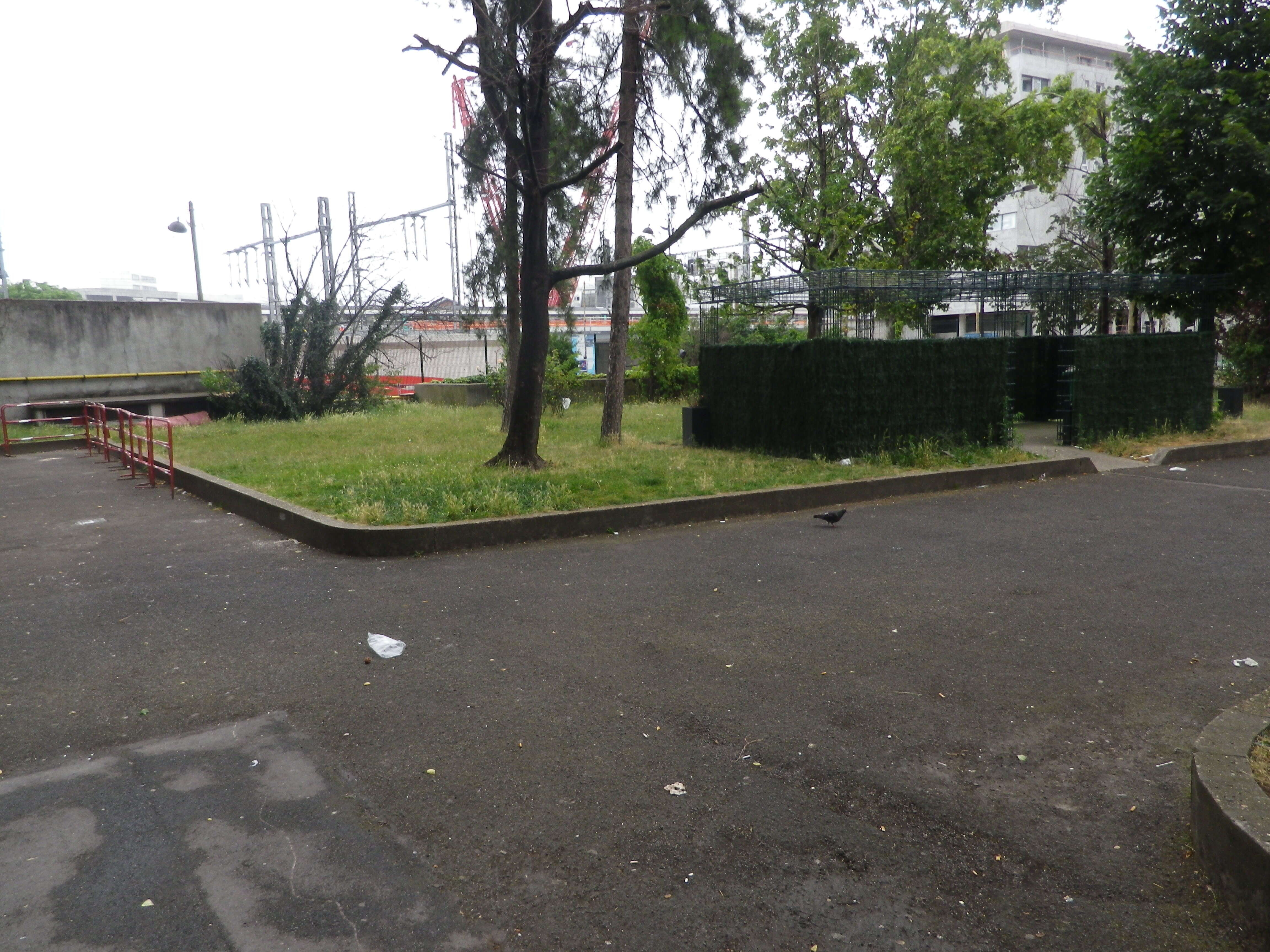 IMGP7120-cmp.JPG