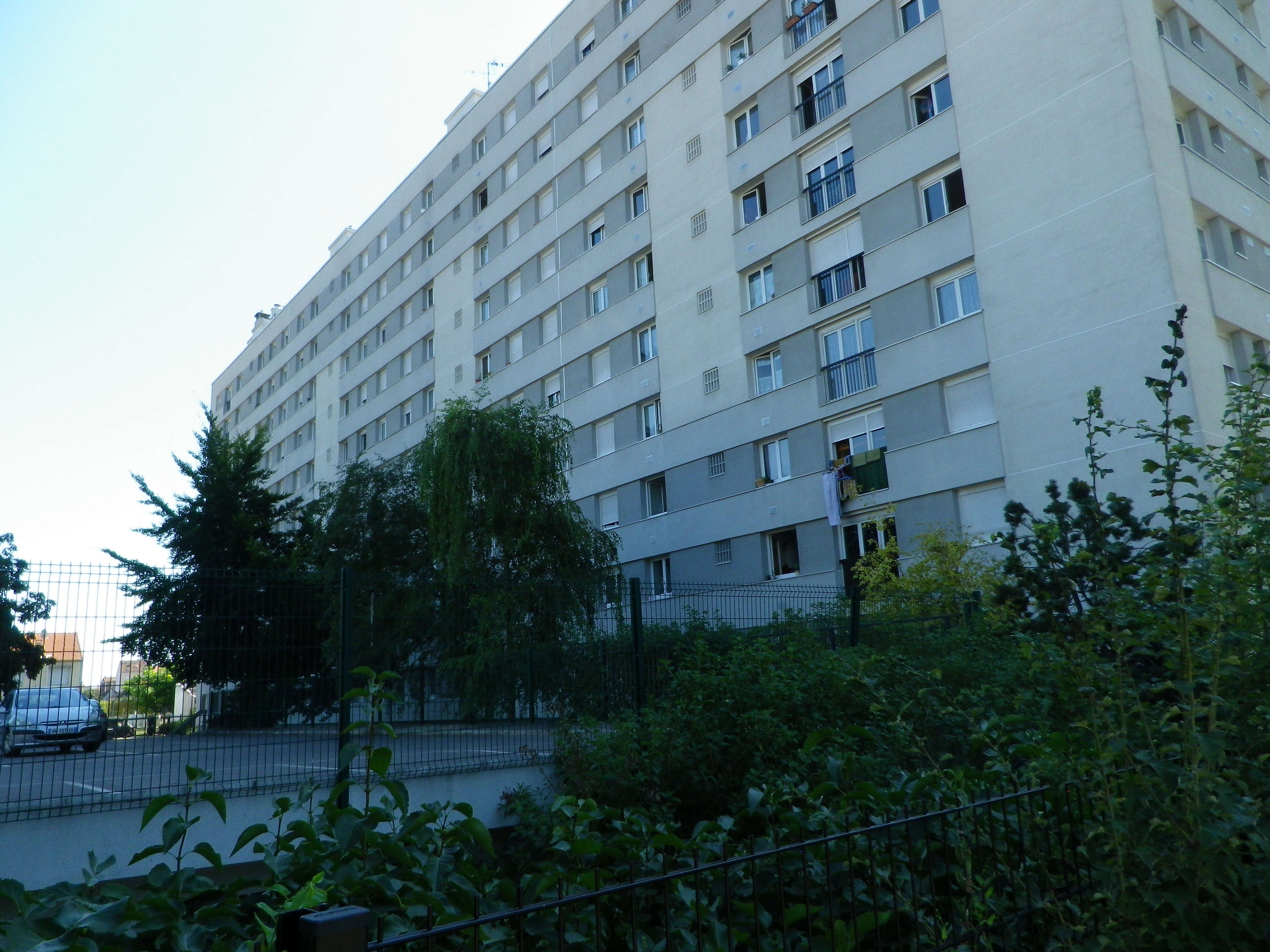 IMGP2591-cmp.JPG
