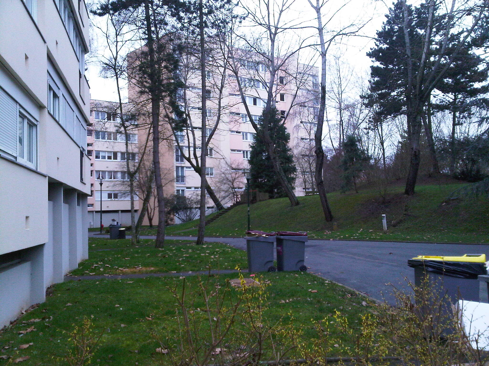 compressed-IMG00071-20110225-0932.jpg