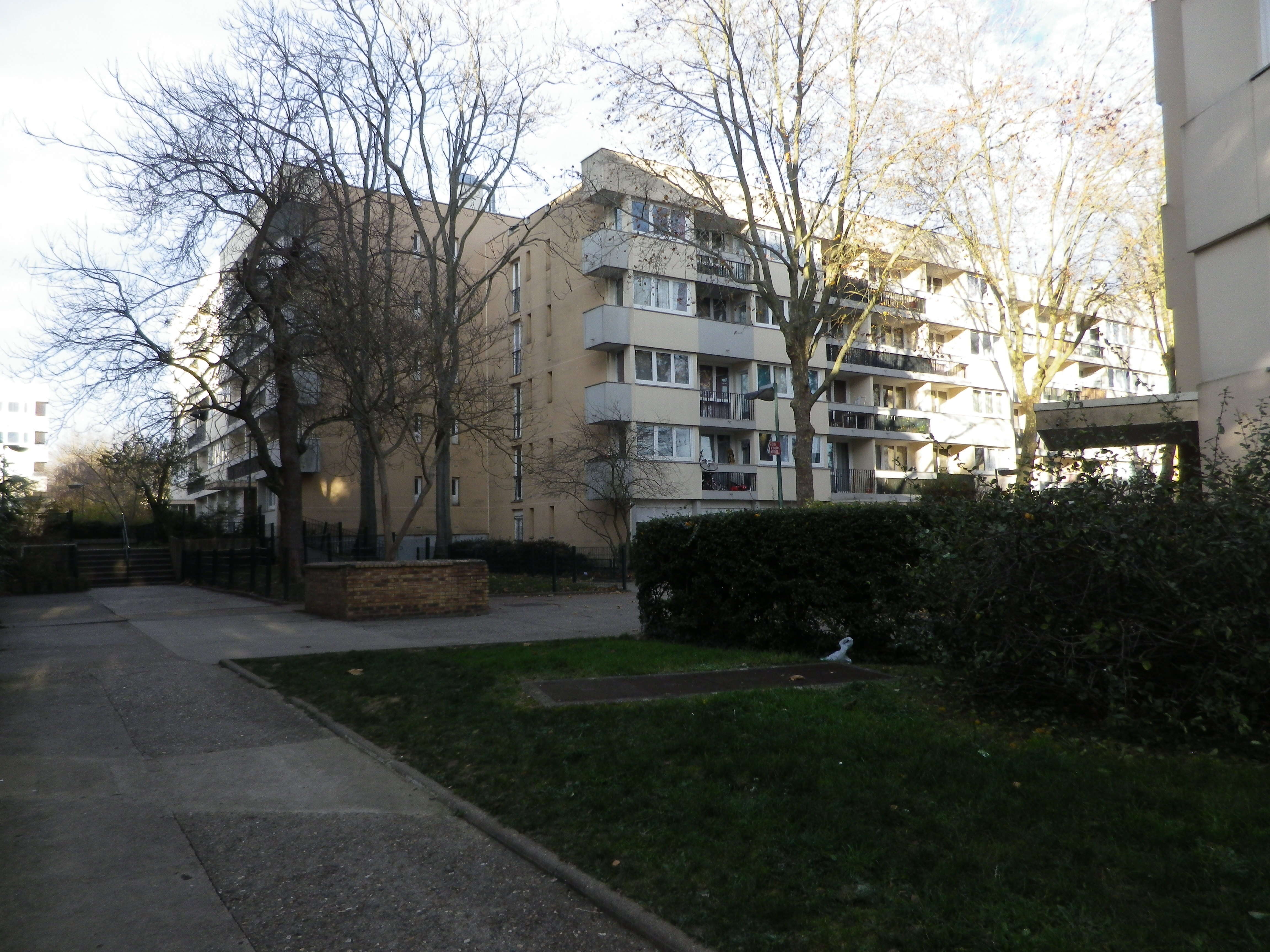 IMGP0089-compressed.JPG