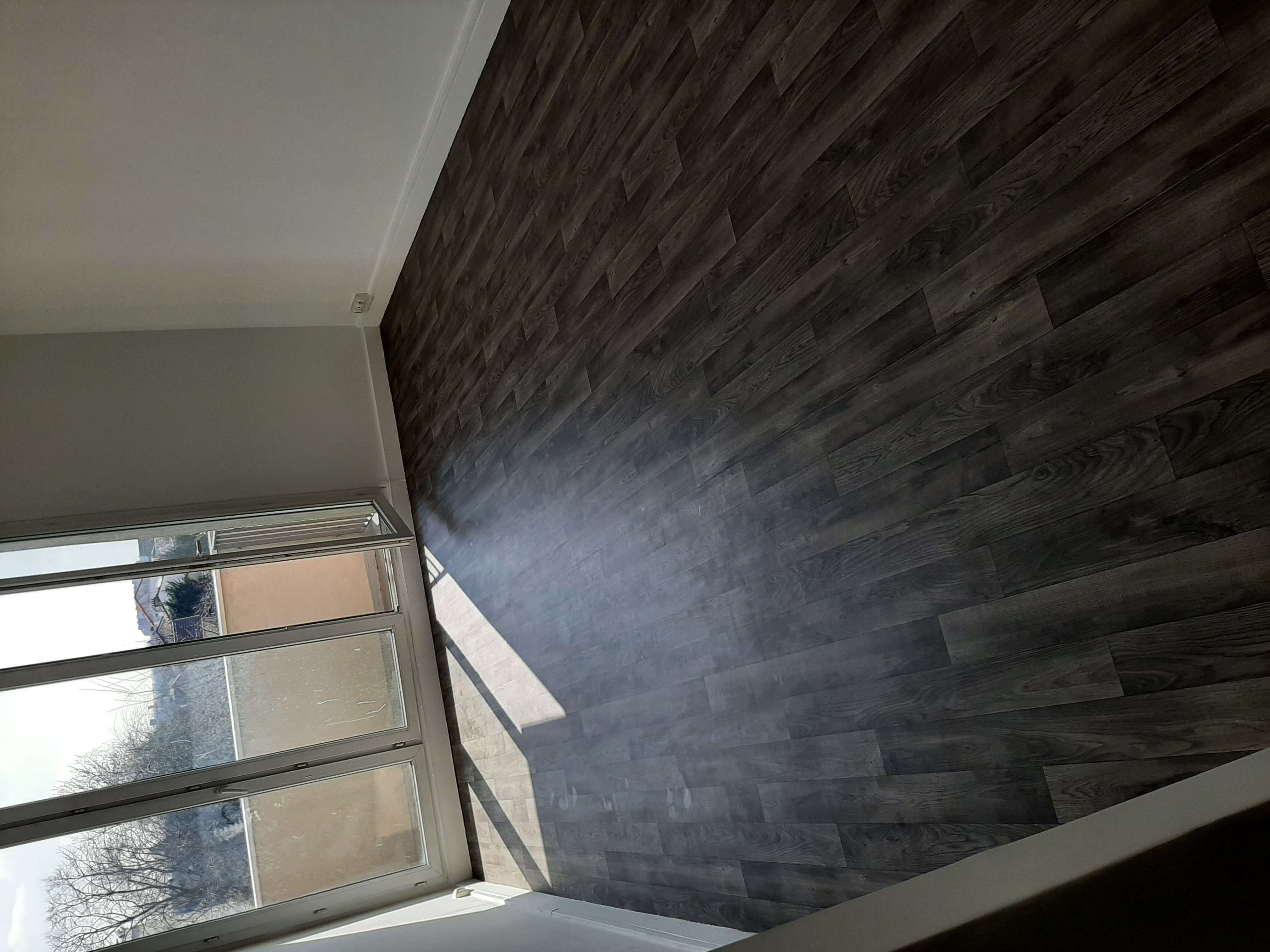 photo7.jpg