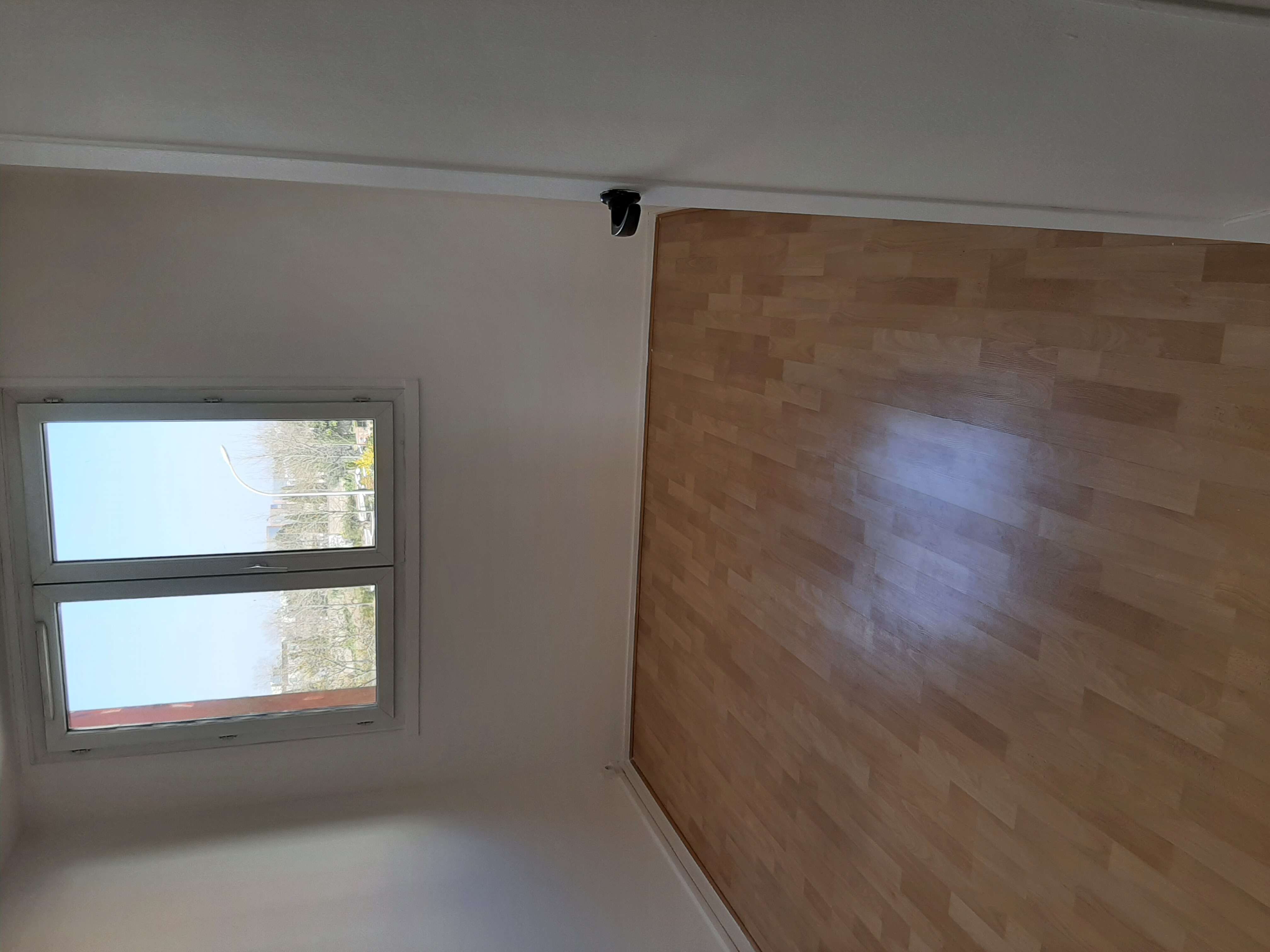 photo9.jpg