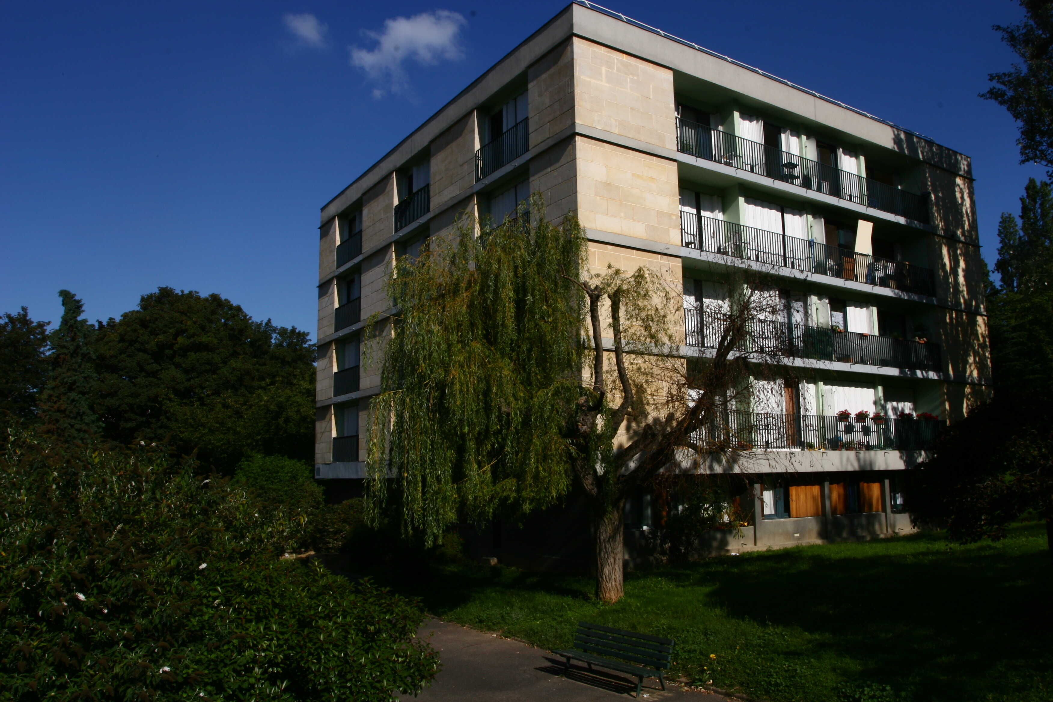 PHOTOS OGIF 324-compressed.jpg