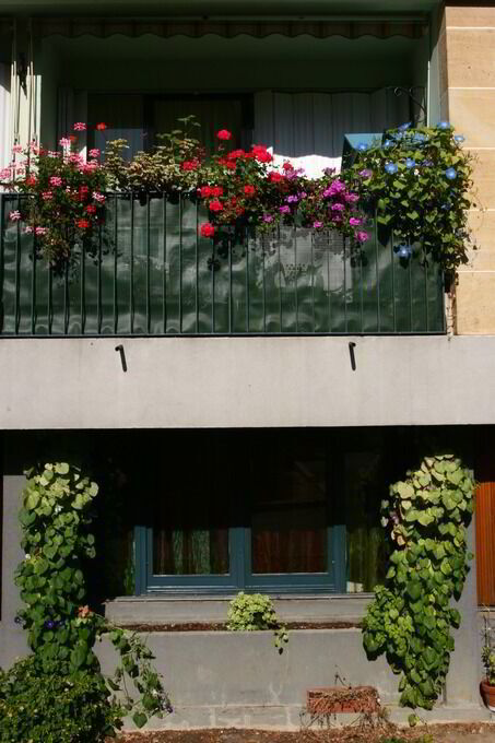 PHOTOS OGIF 332-compressed.jpg