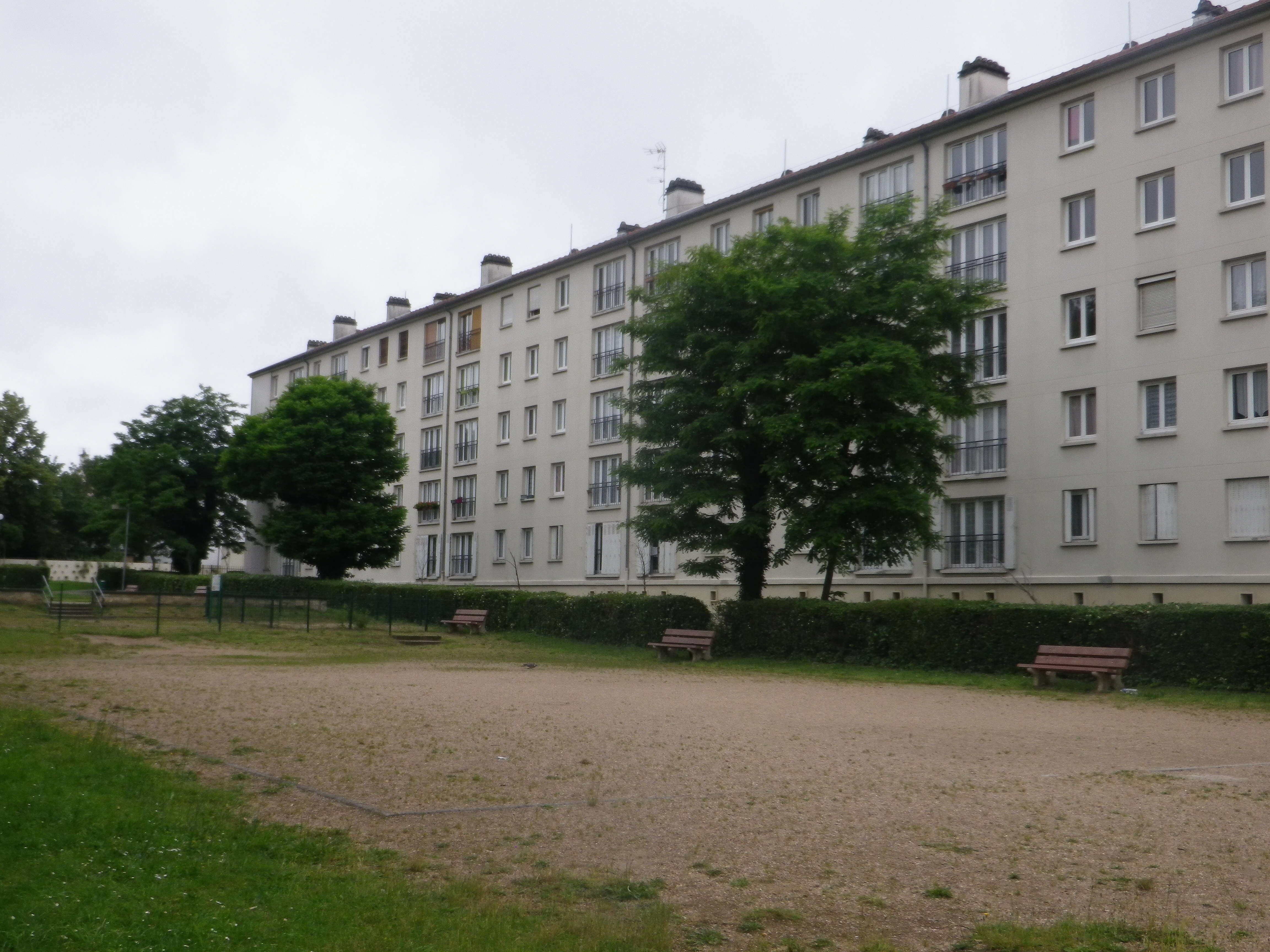 IMGP2972.JPG