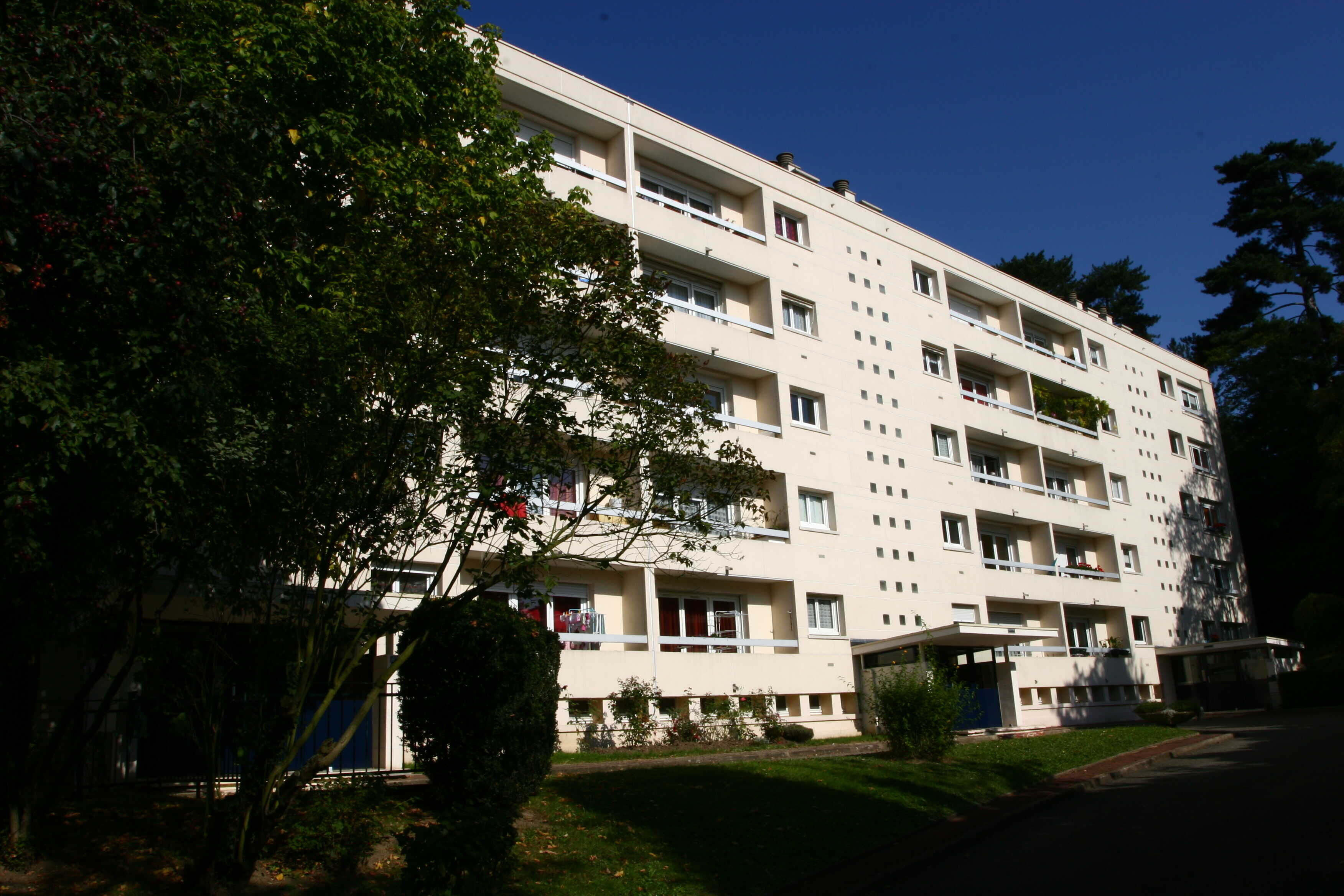PHOTOS OGIF 454-cmp.jpg