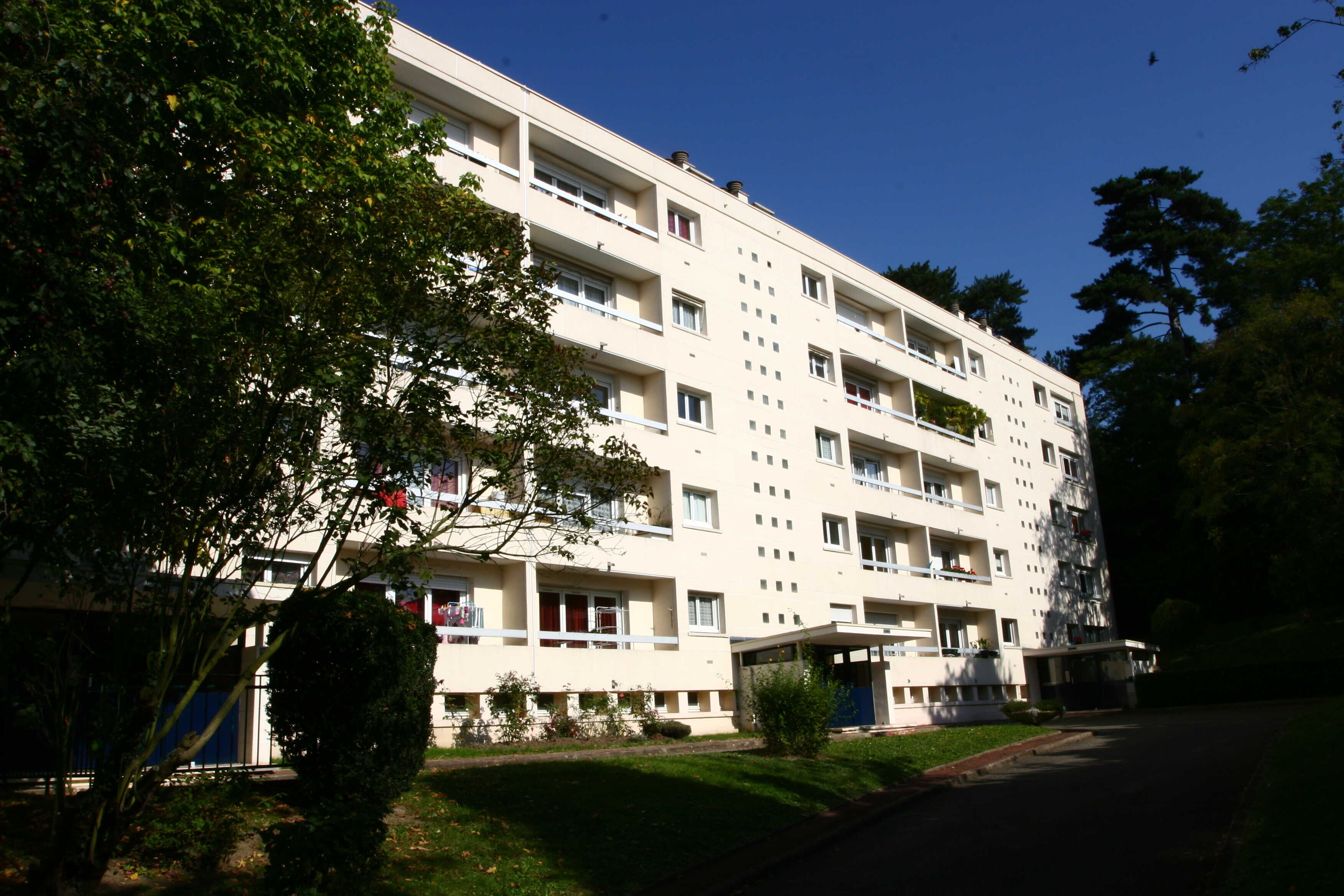 PHOTOS OGIF 455-cmp.jpg