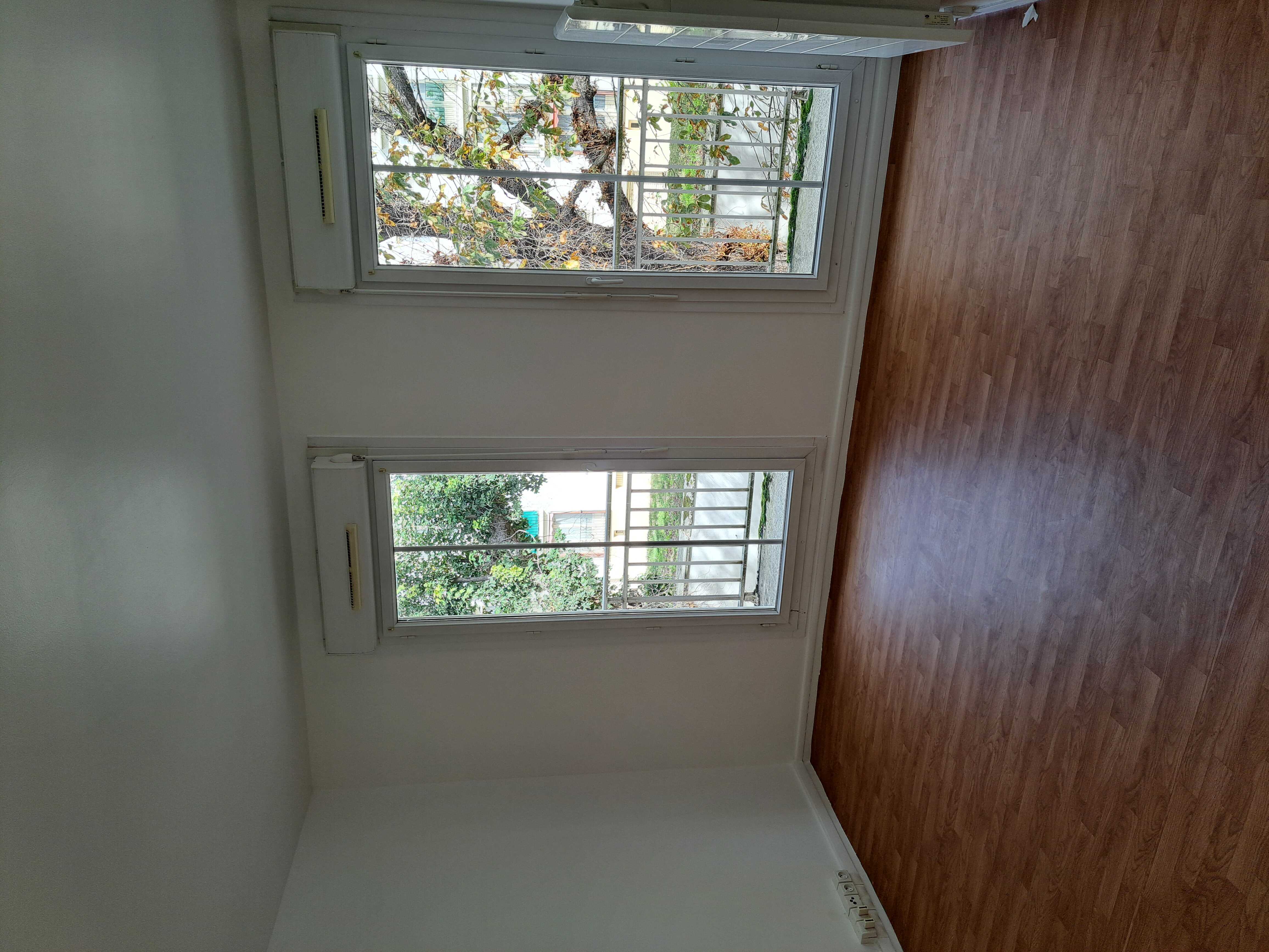 compressed-image (3).jpg