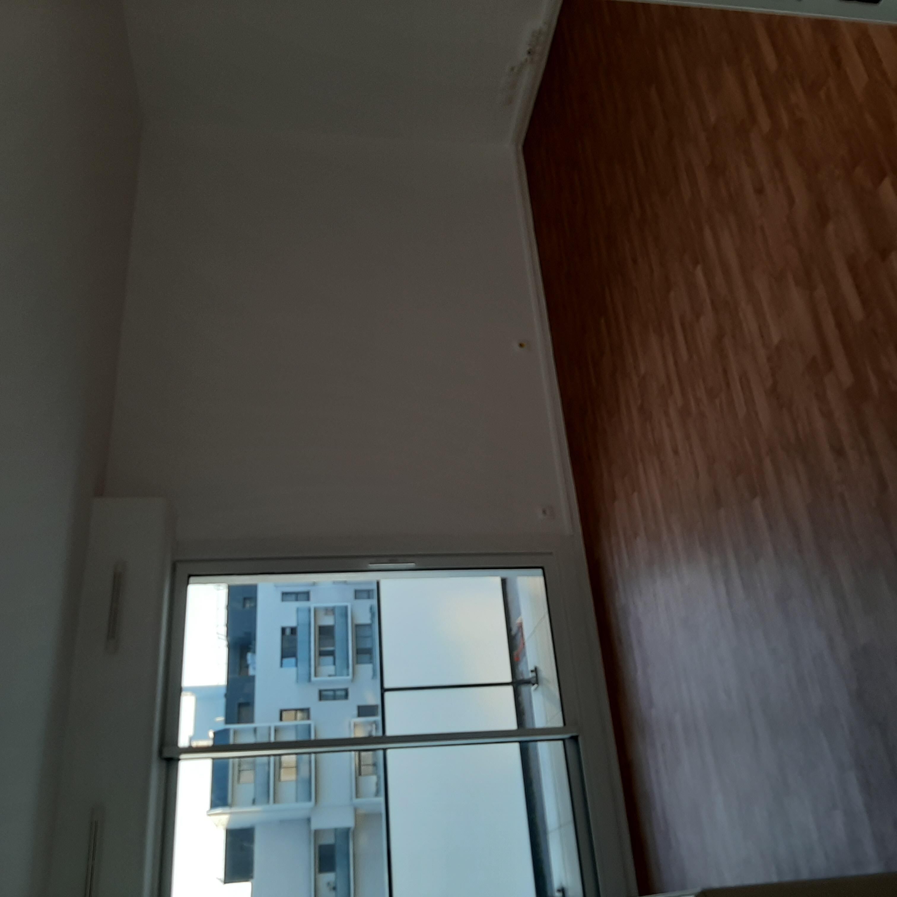 20230220_082924-compressed.jpg
