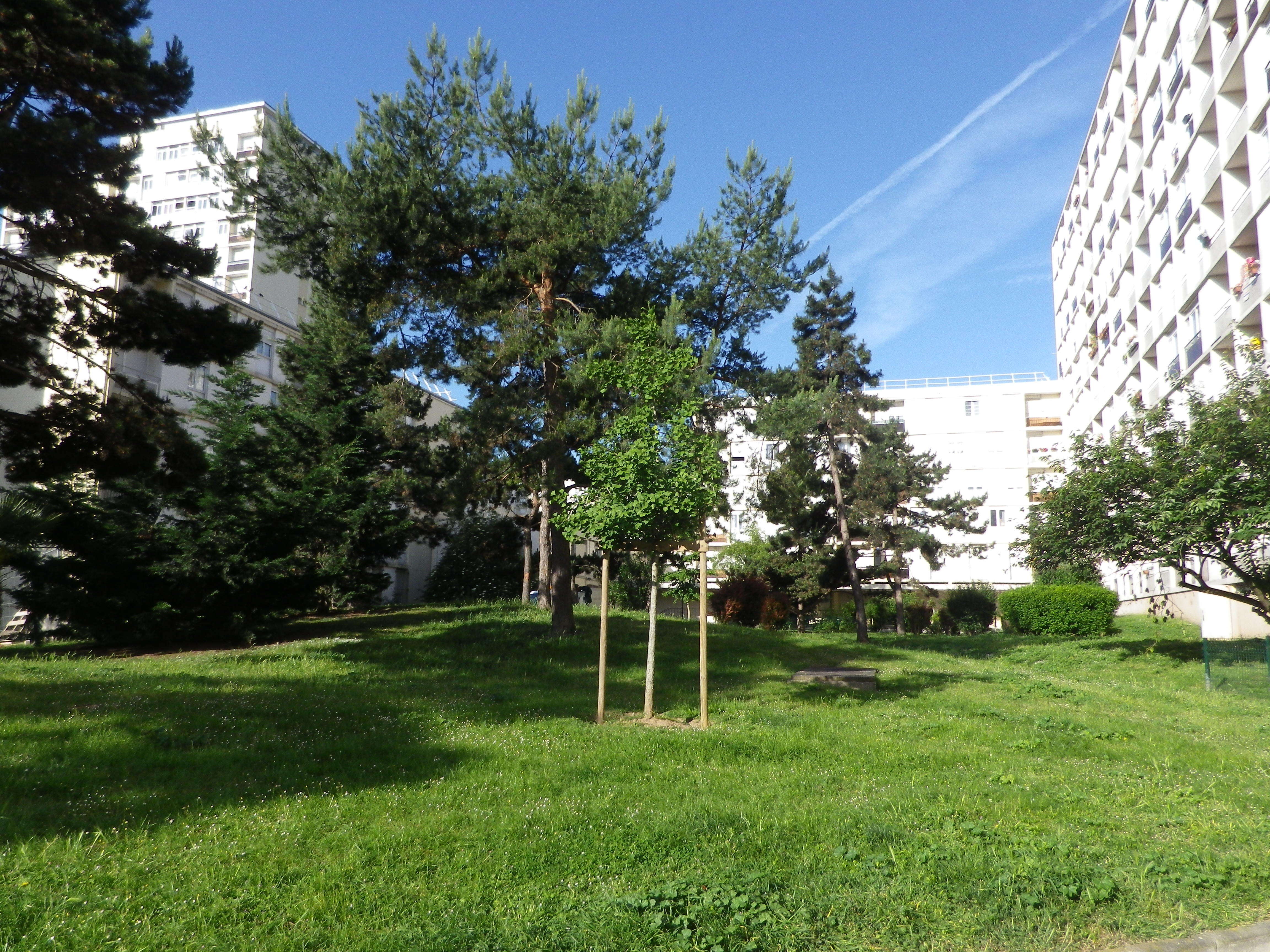 IMGP4596-cmp.JPG