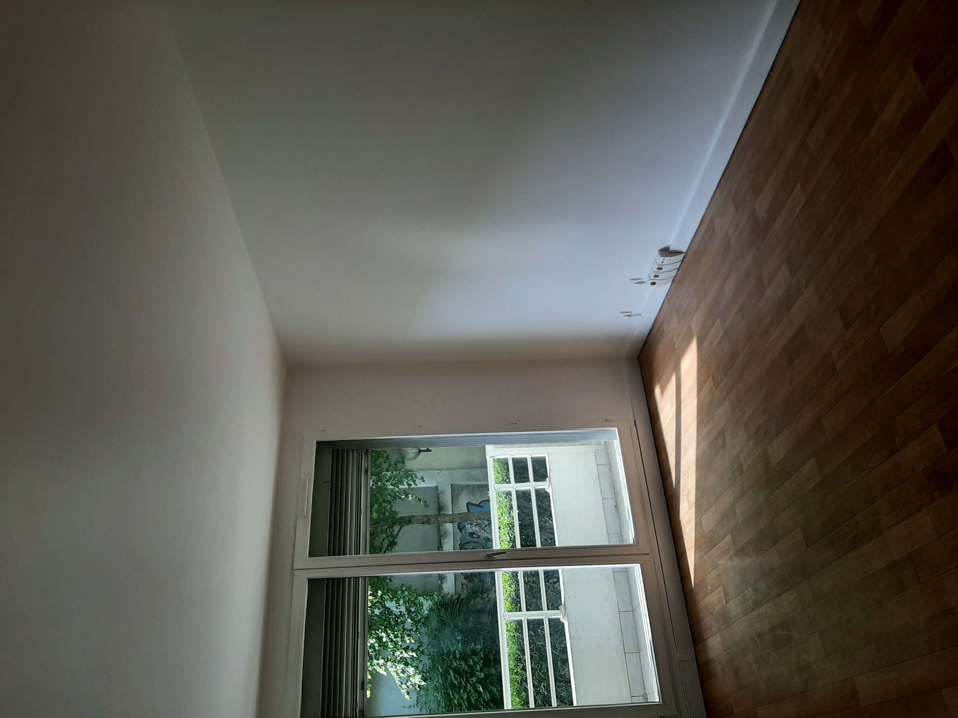 20220428_110415-compressed.jpg