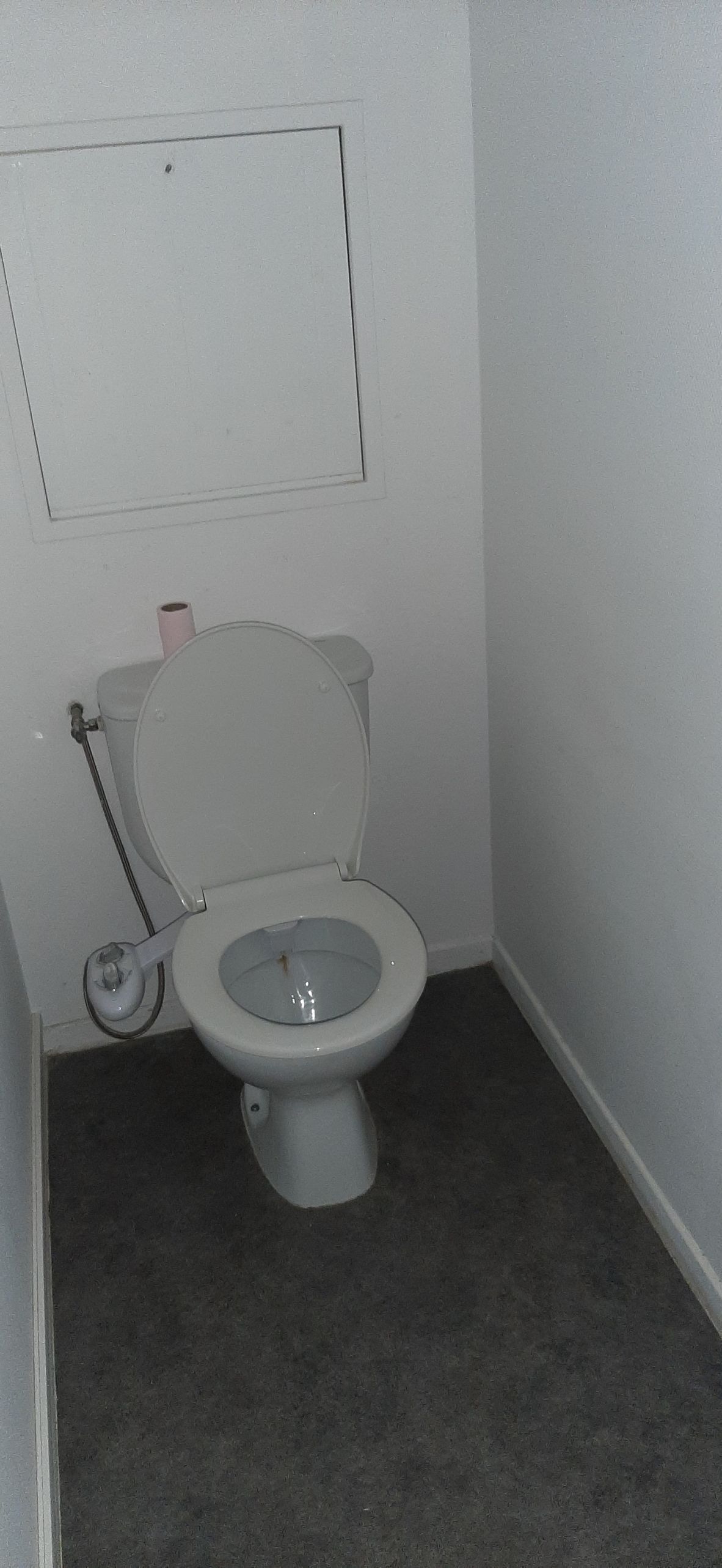 A5-cmp.jpg