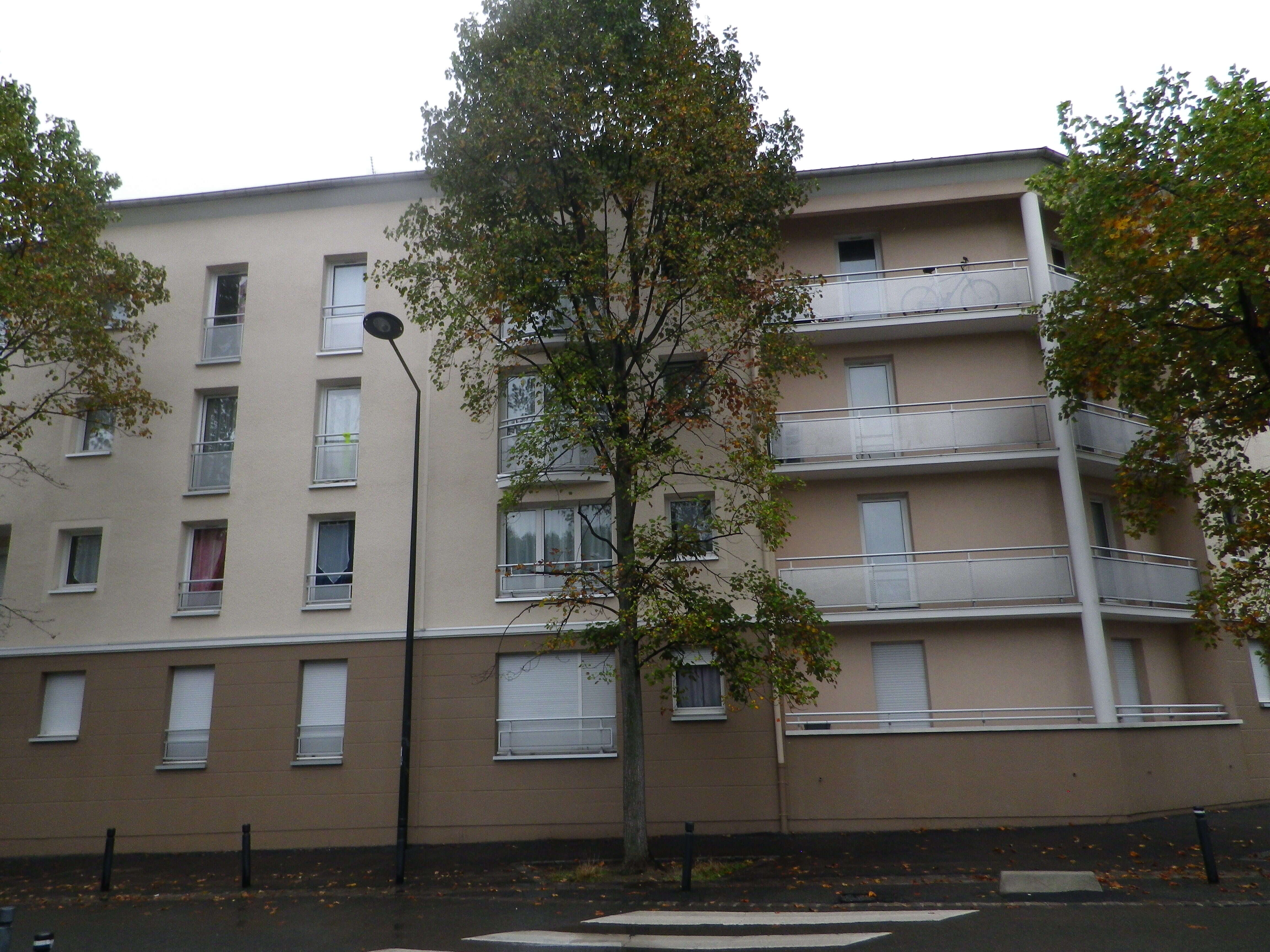IMGP1190.JPG