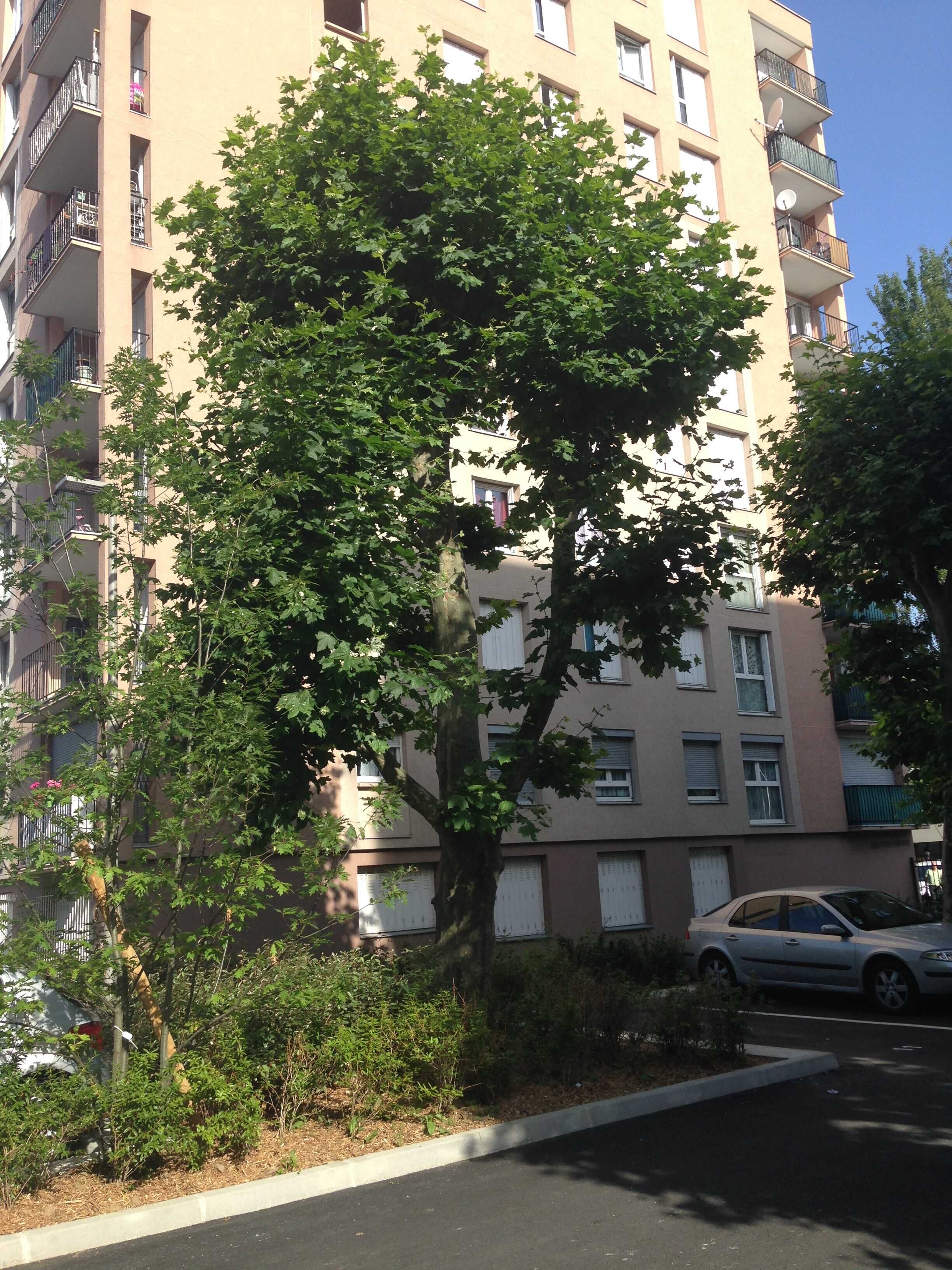 AULNAY SOUS BOIS