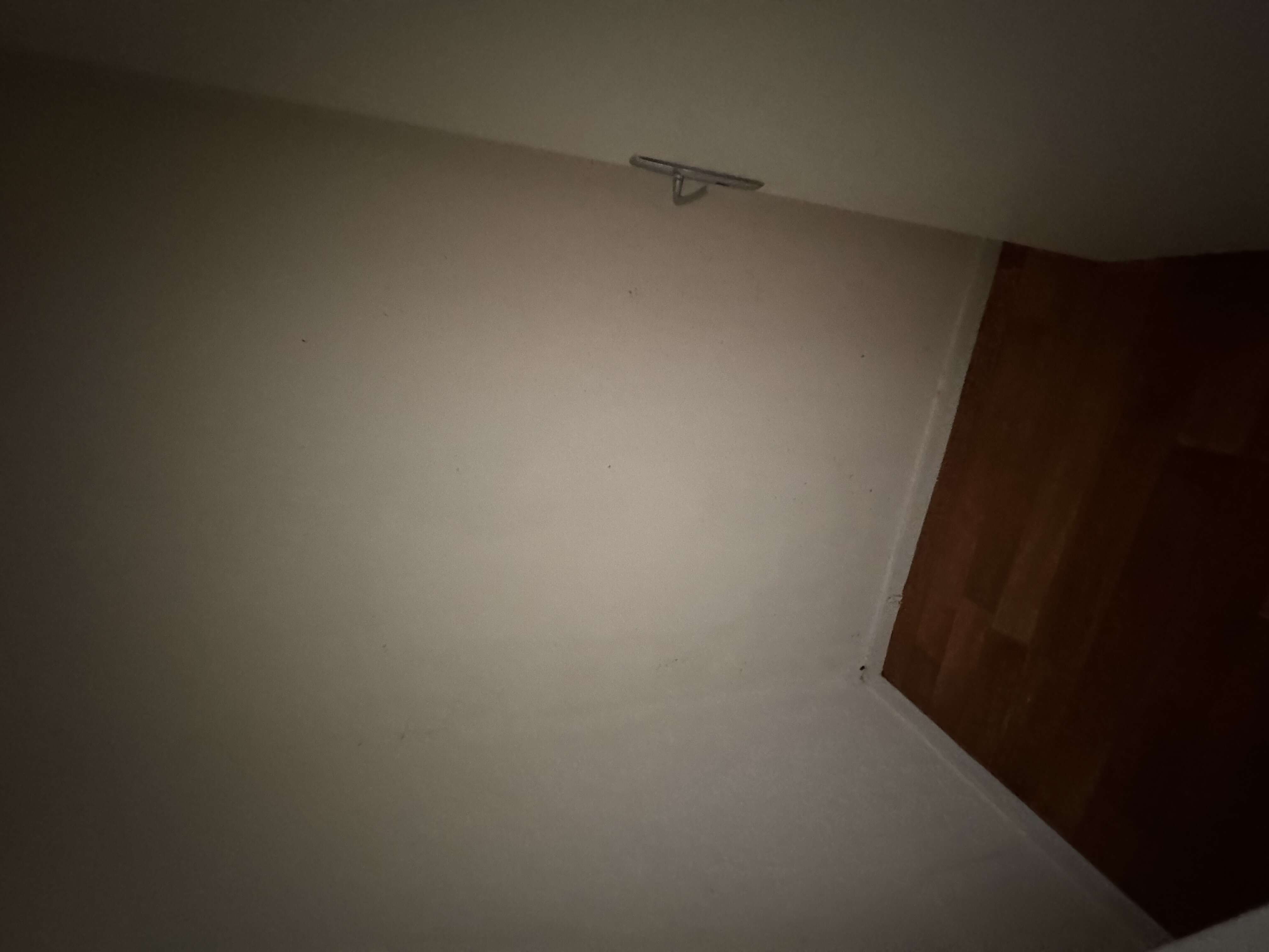 compressed-IMG_0177.jpeg