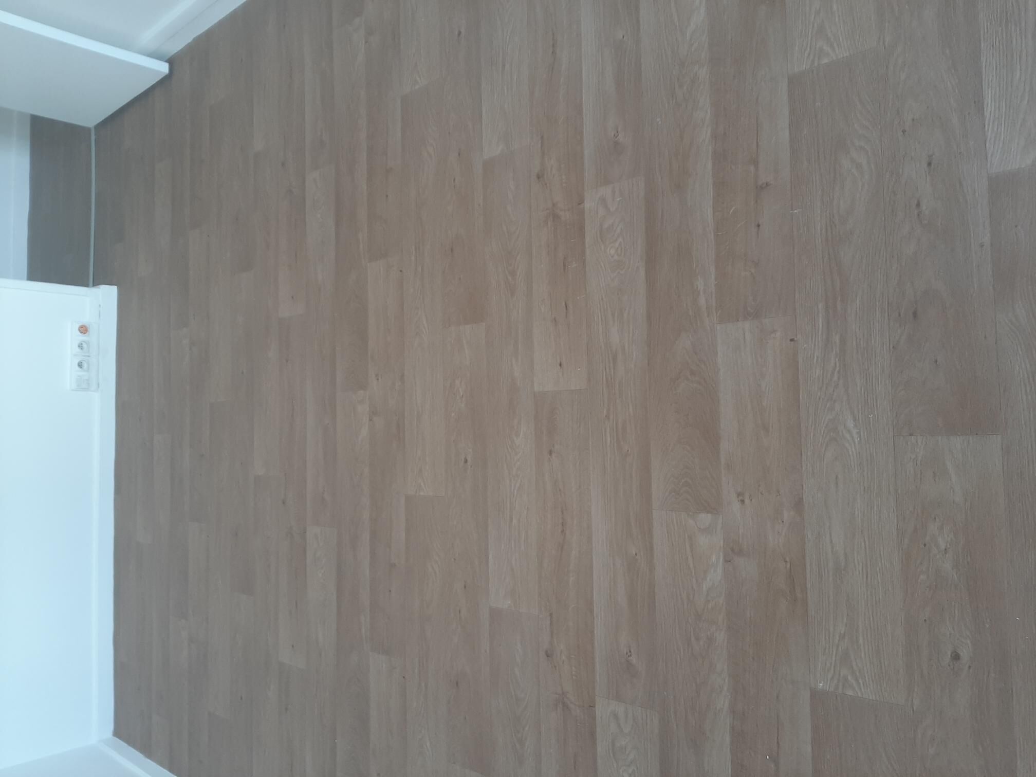 20250811_092733.jpg