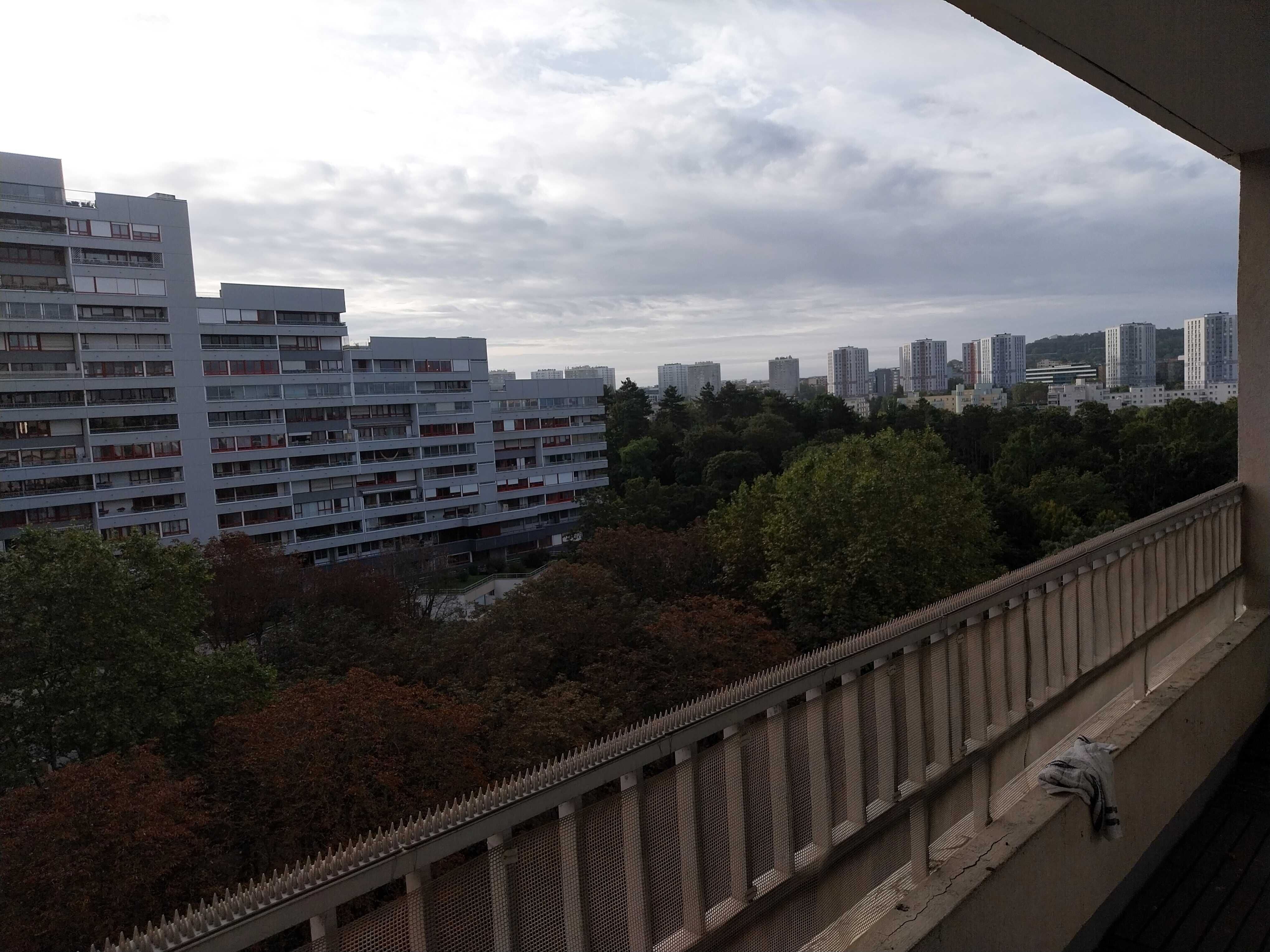 20241007_094641-cmp.jpg