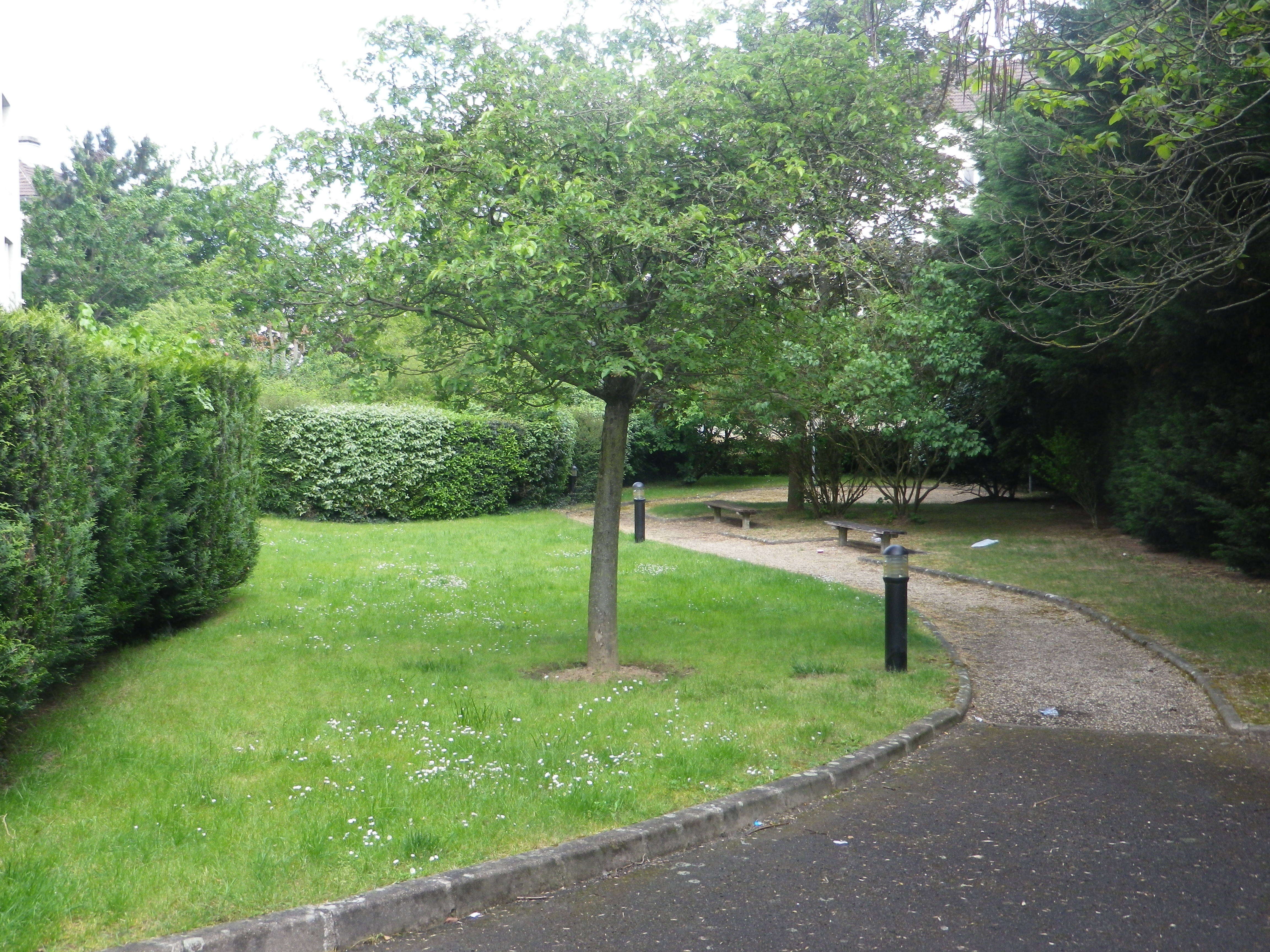 IMGP1578-compressed.JPG