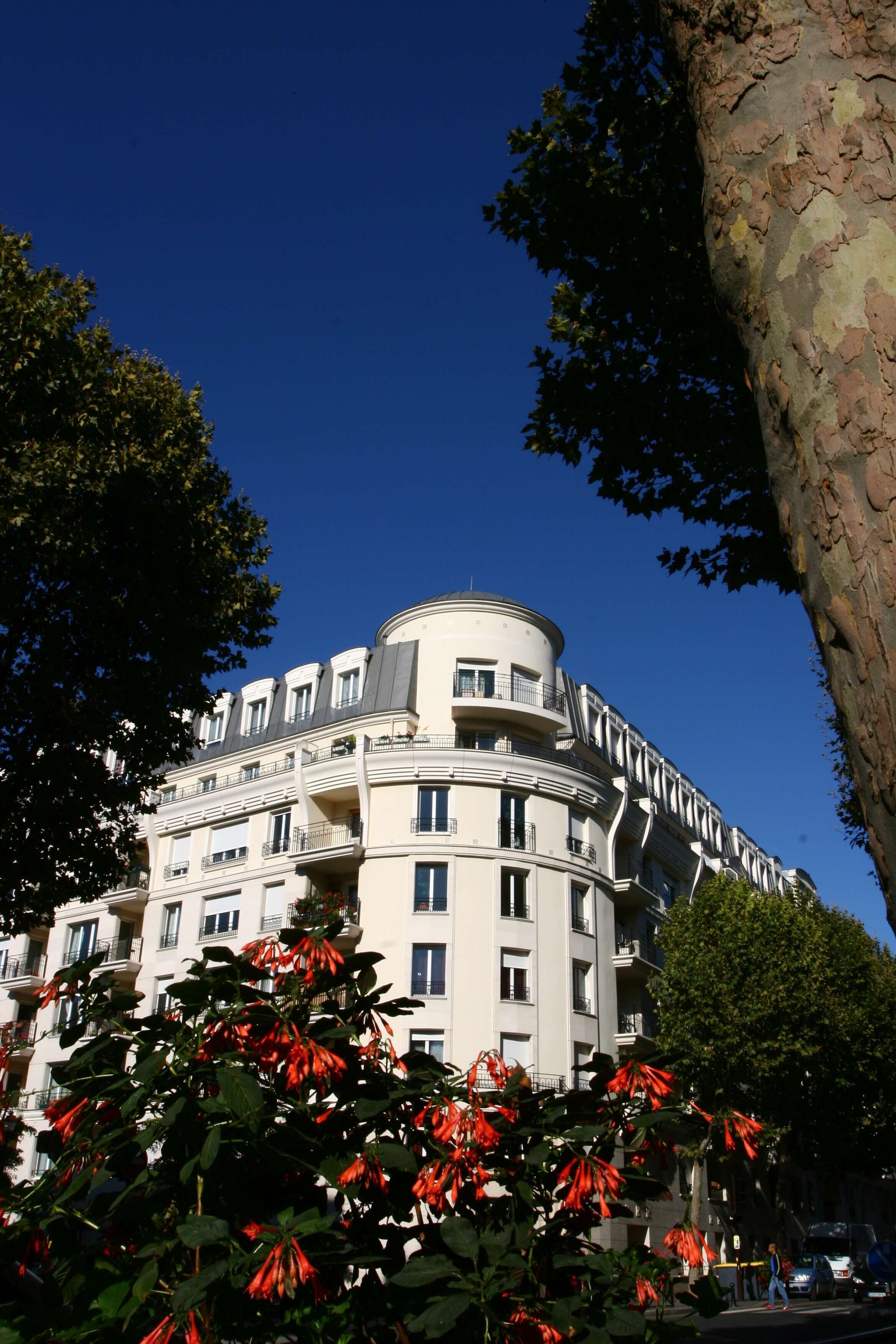 PHOTOS OGIF 139-compressed.jpg