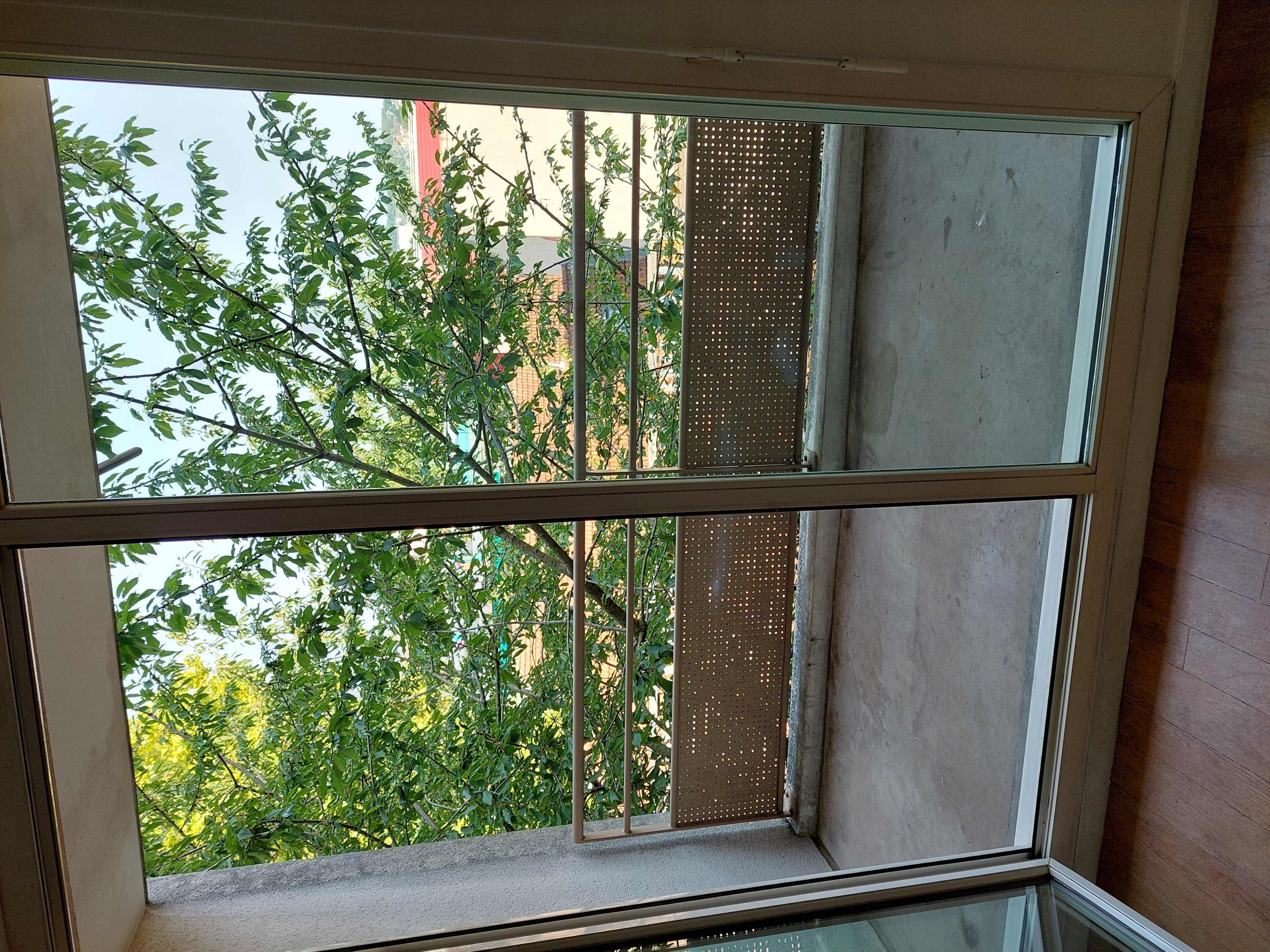 compressed-273 (1).jpg