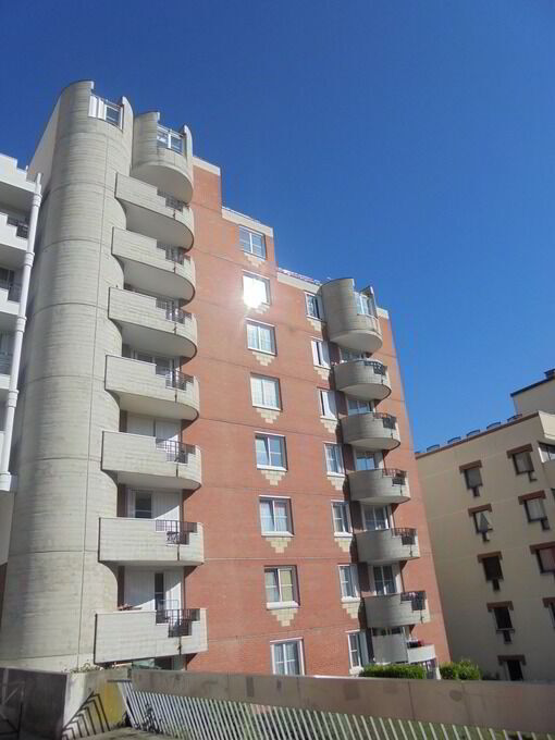 DSC00473-cmp.JPG